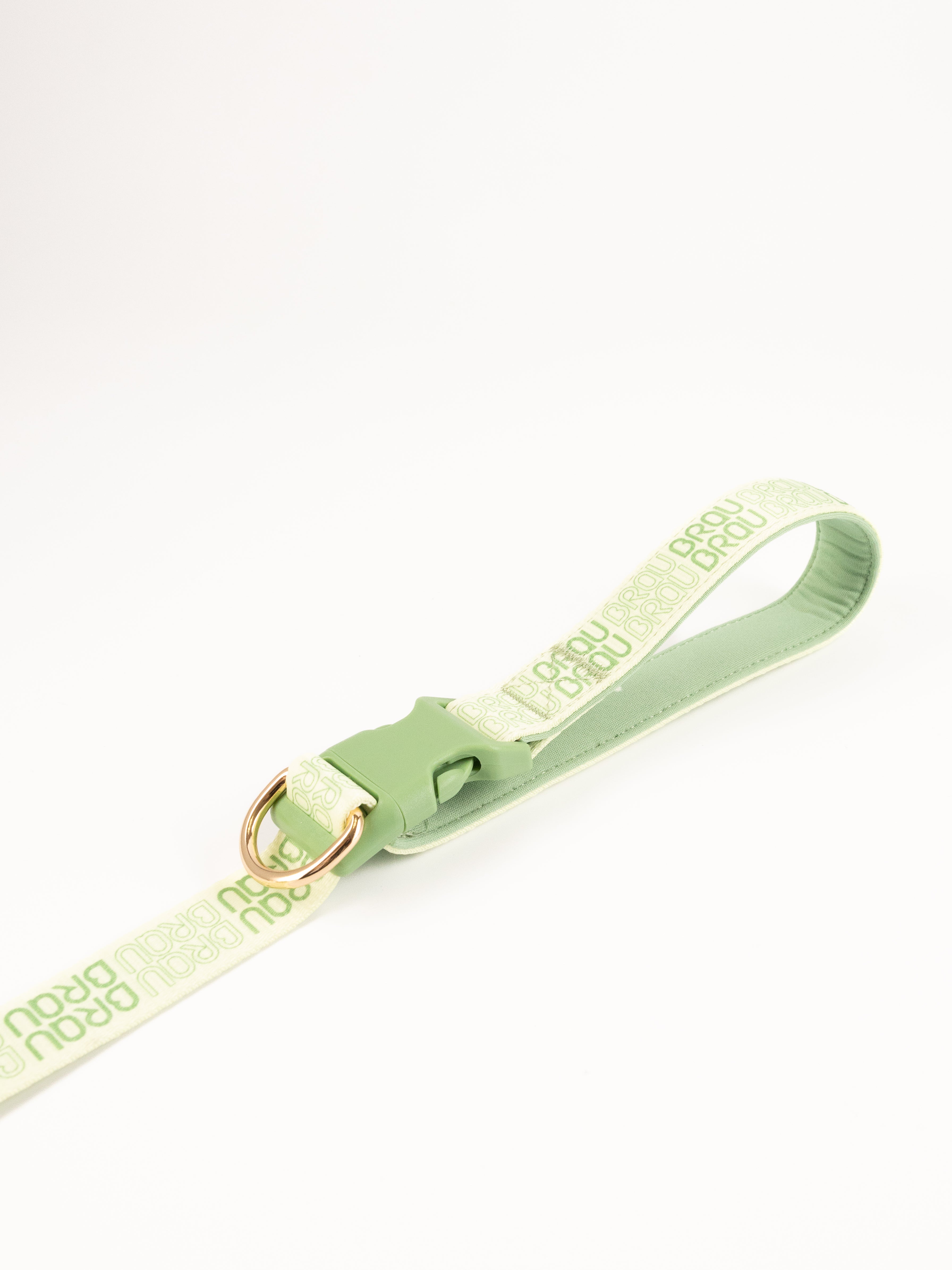 Signature Walk Set Grün (3-teilig) - Verstellbare Leine, Halsband und Geschirr für Hunde
