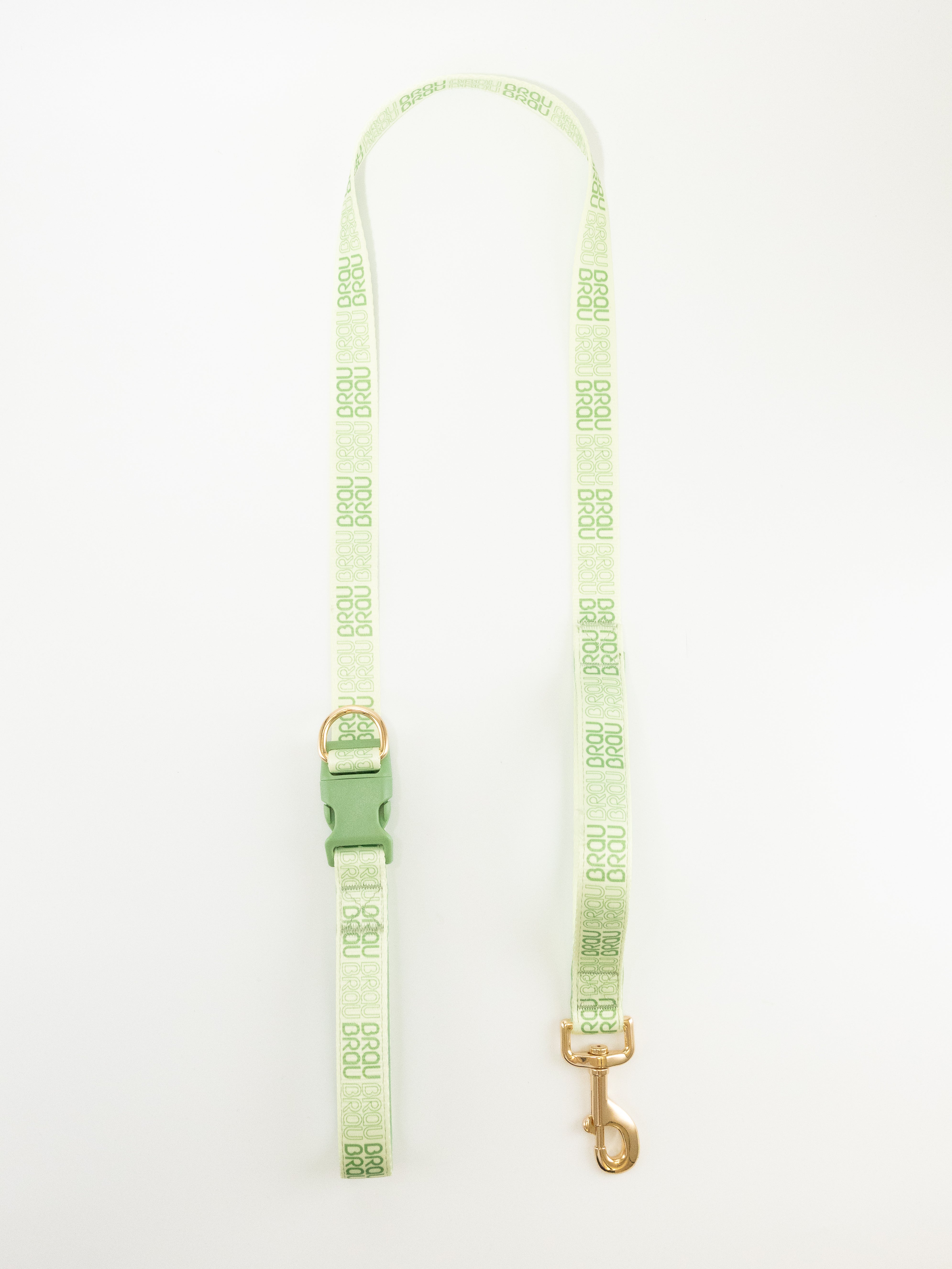 Signature Walk Set Grün (3-teilig) - Verstellbare Leine, Halsband und Geschirr für Hunde