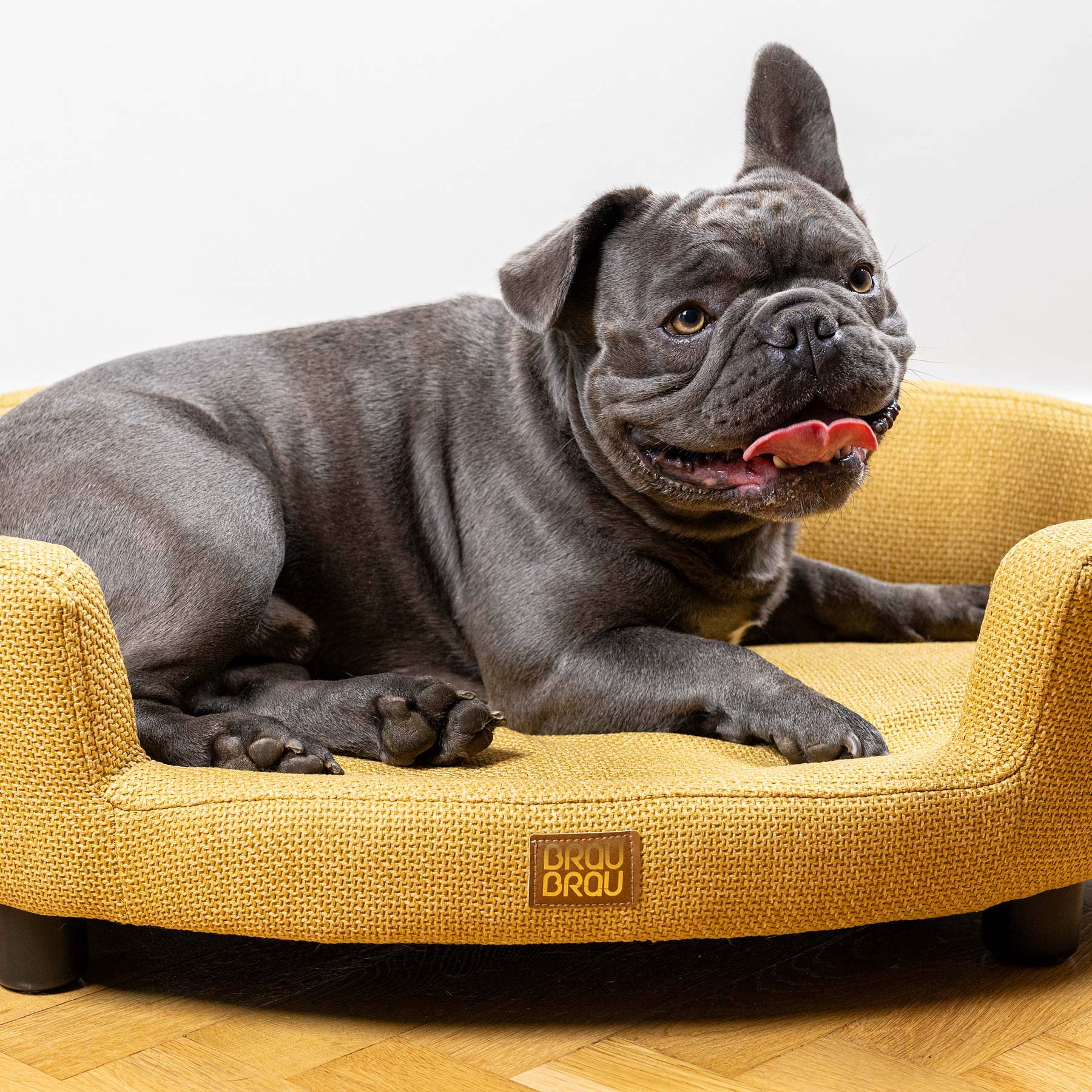 Gelbes Sofa - Soleil BRAUBRAU für Haustiere (Hunde und Katzen)