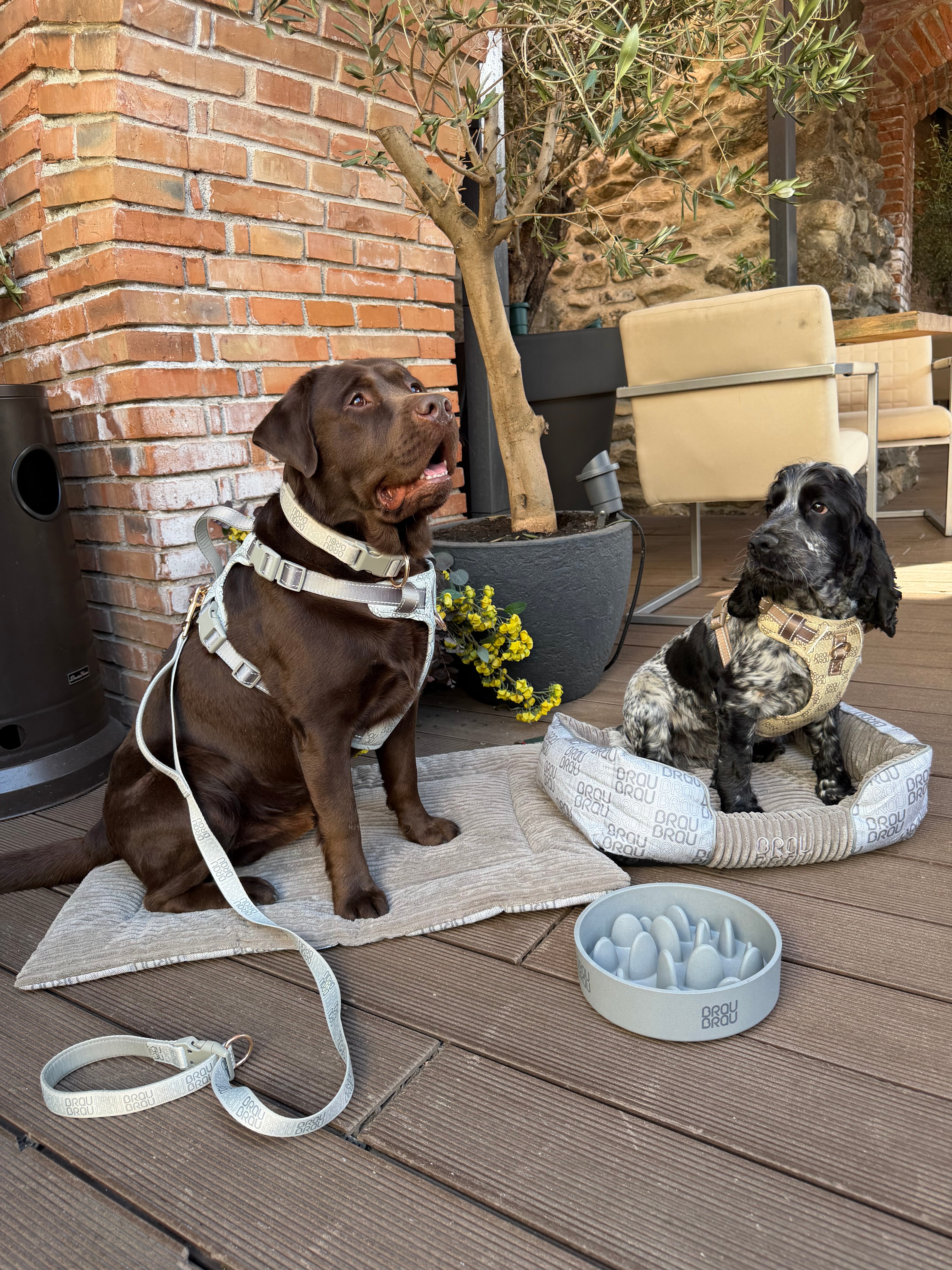 Graues Bett - Orthopädische Seide BRAUBRAU für Haustiere (Hunde und Katzen)