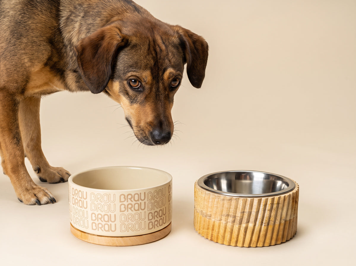 Napf Signature Beige von BRAUBRAU – für Hunde & Katzen