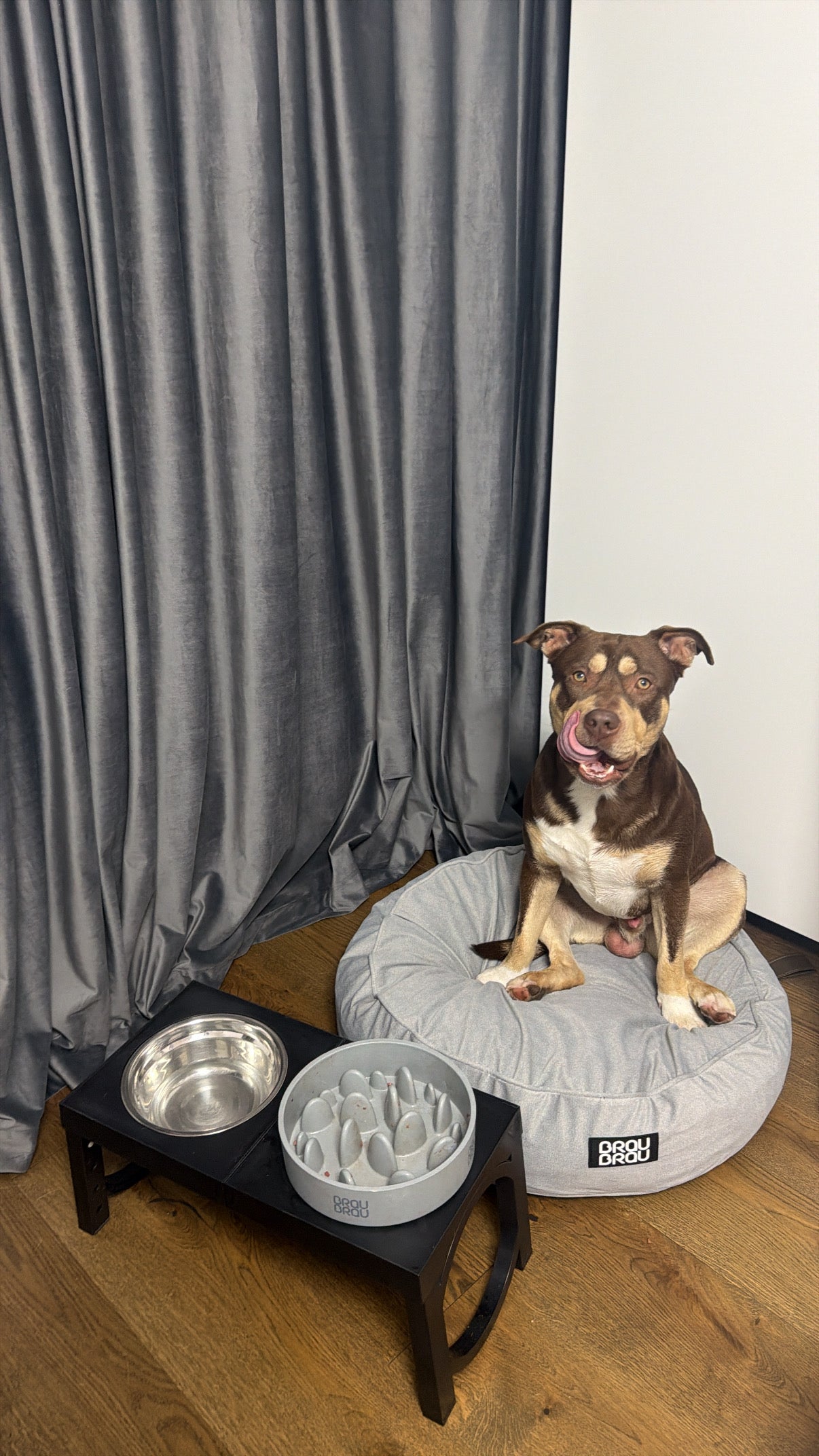 Orange/Grünes Kissen - Rotonda BRAUBRAU für Haustiere (Hunde und Katzen)