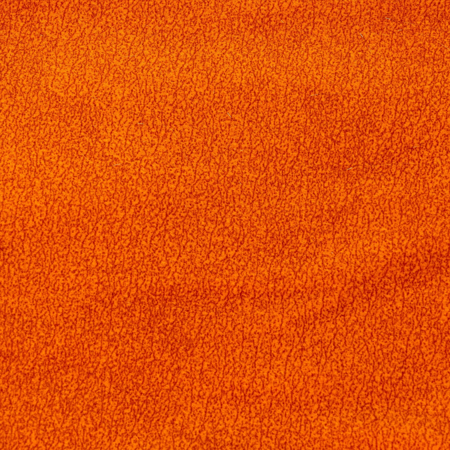 Orange/Grünes Kissen - Rotonda BRAUBRAU für Haustiere (Hunde und Katzen)
