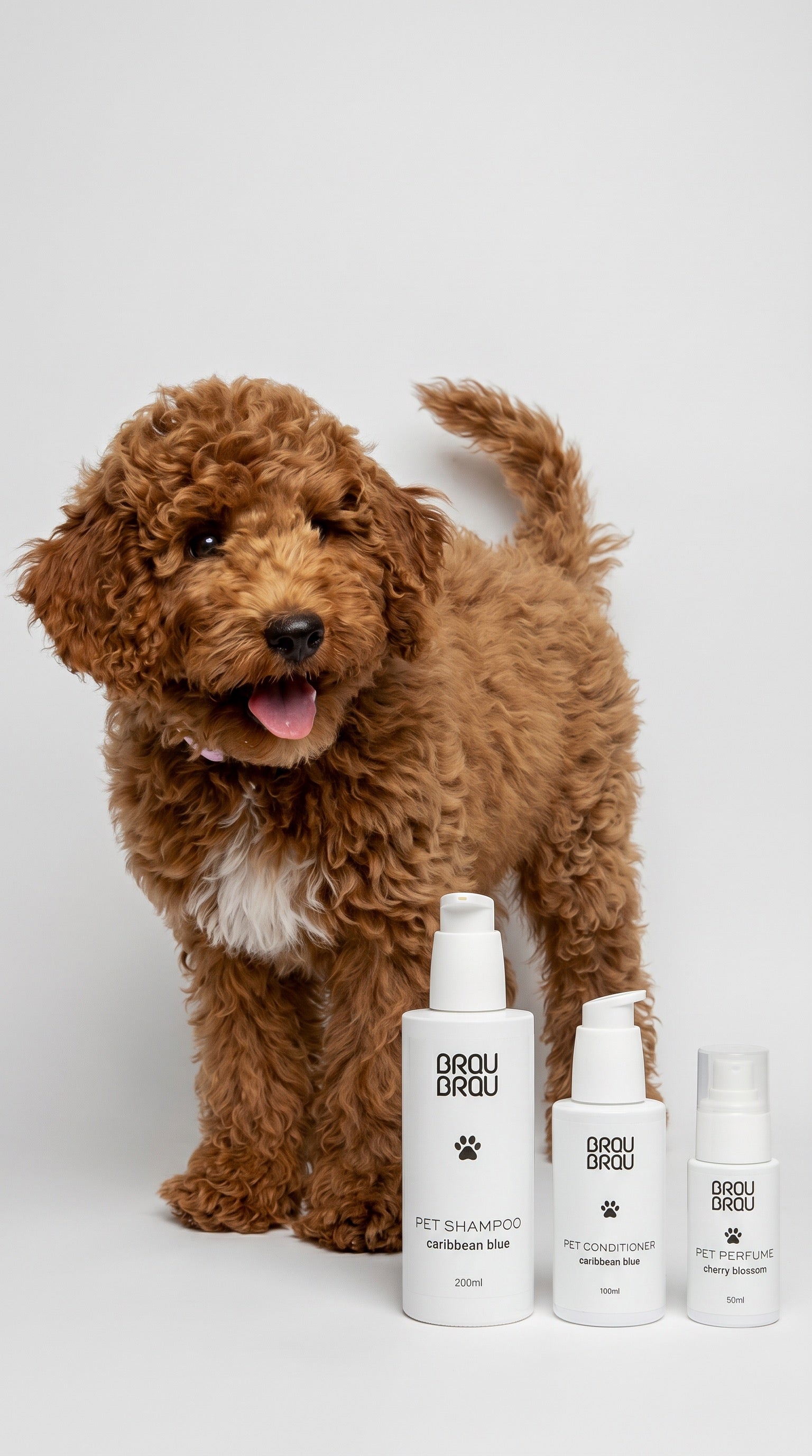 Parfum für Hunde & Katzen Blueberry - 50 ml
