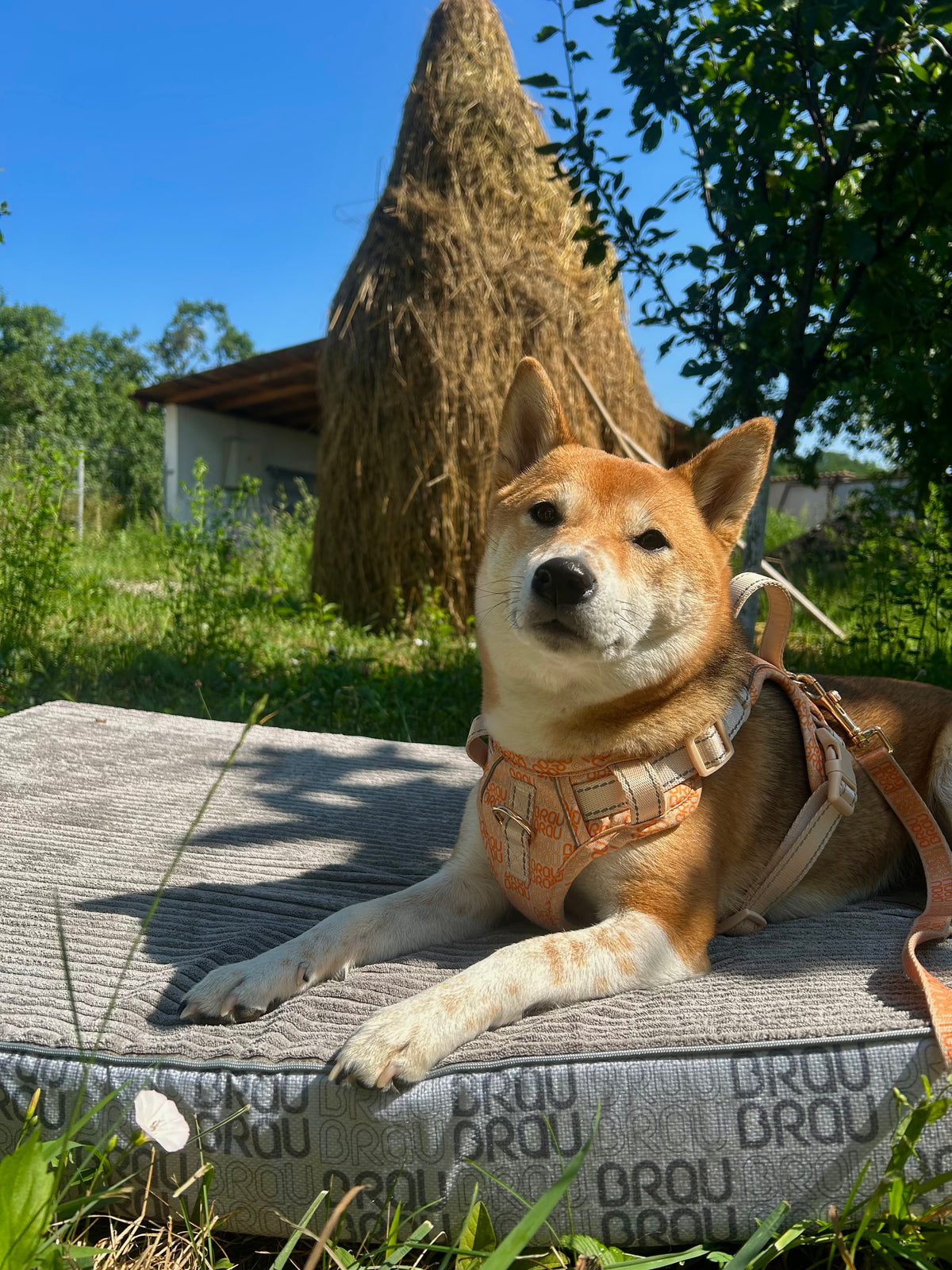 Hundematratze BRAUBRAU Signature Light Grey – für Hunde & Katzen