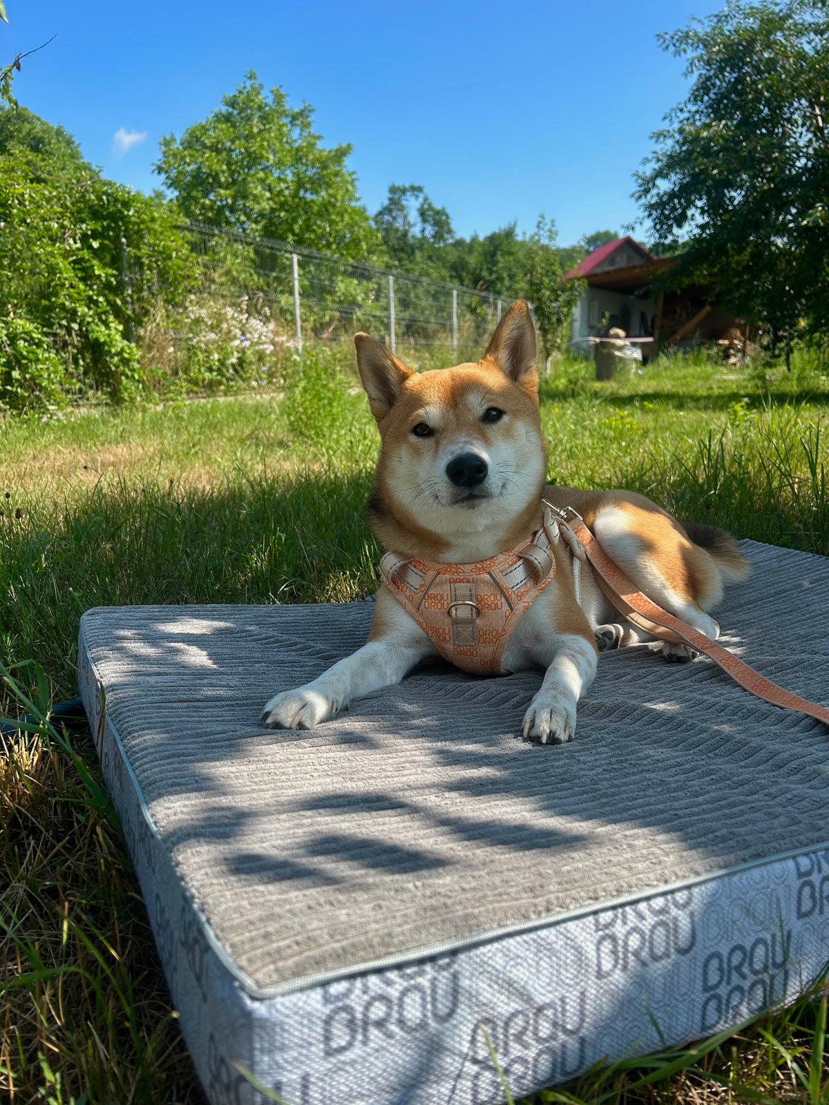 Hundematratze BRAUBRAU Signature Light Grey – für Hunde & Katzen