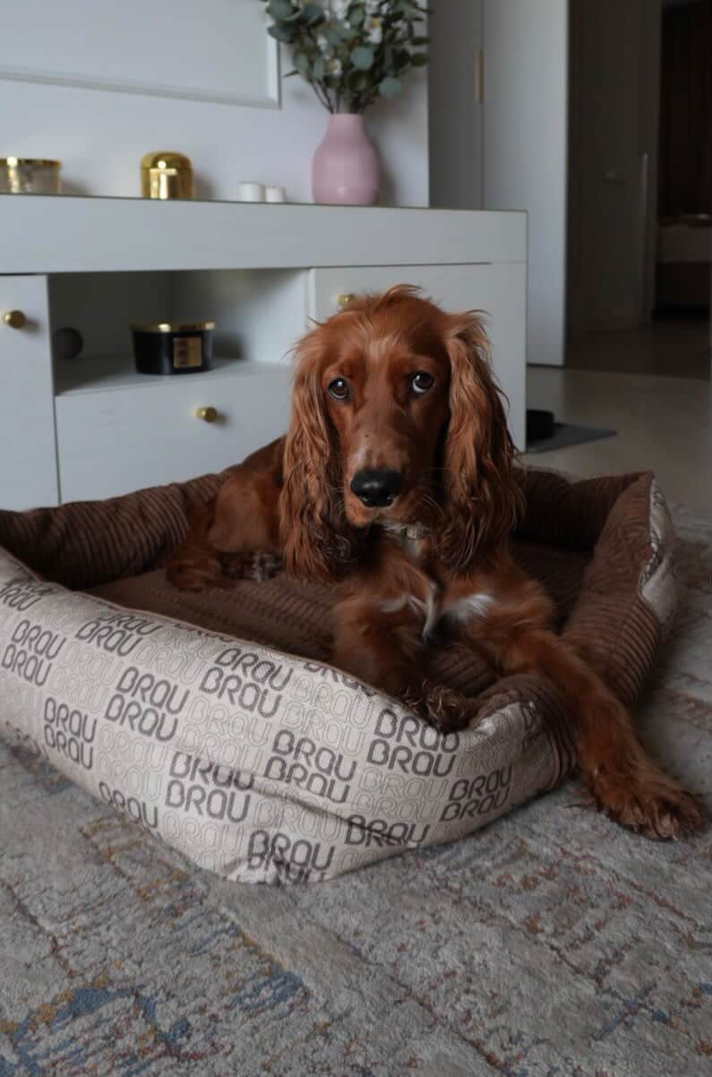 BRAUBRAU Signature Bett Square Mocha Mousse - Für Hunde und Katzen