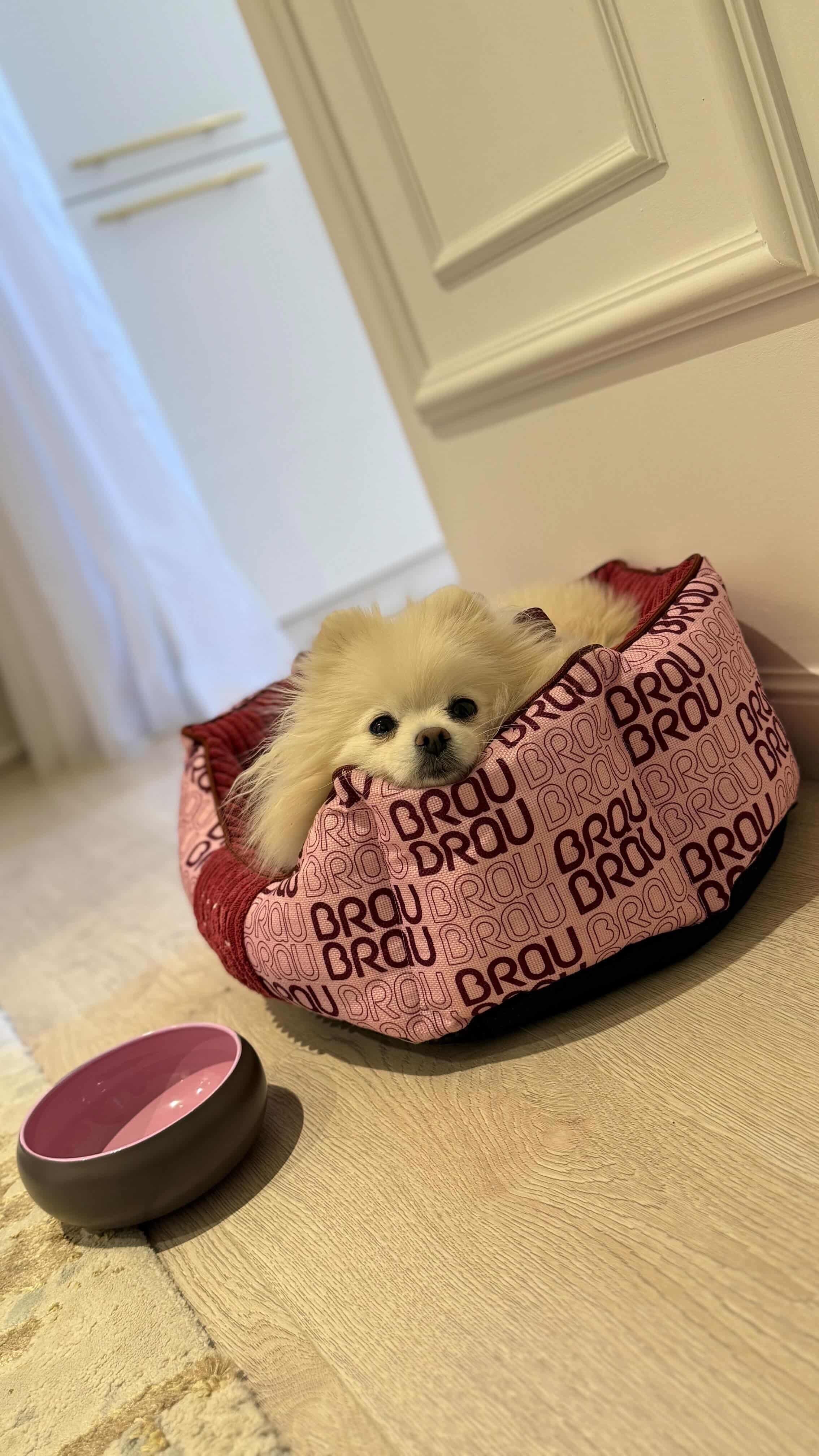 BRAUBRAU Signature Bett Round Velvet Pink - Für Hunde und Katzen
