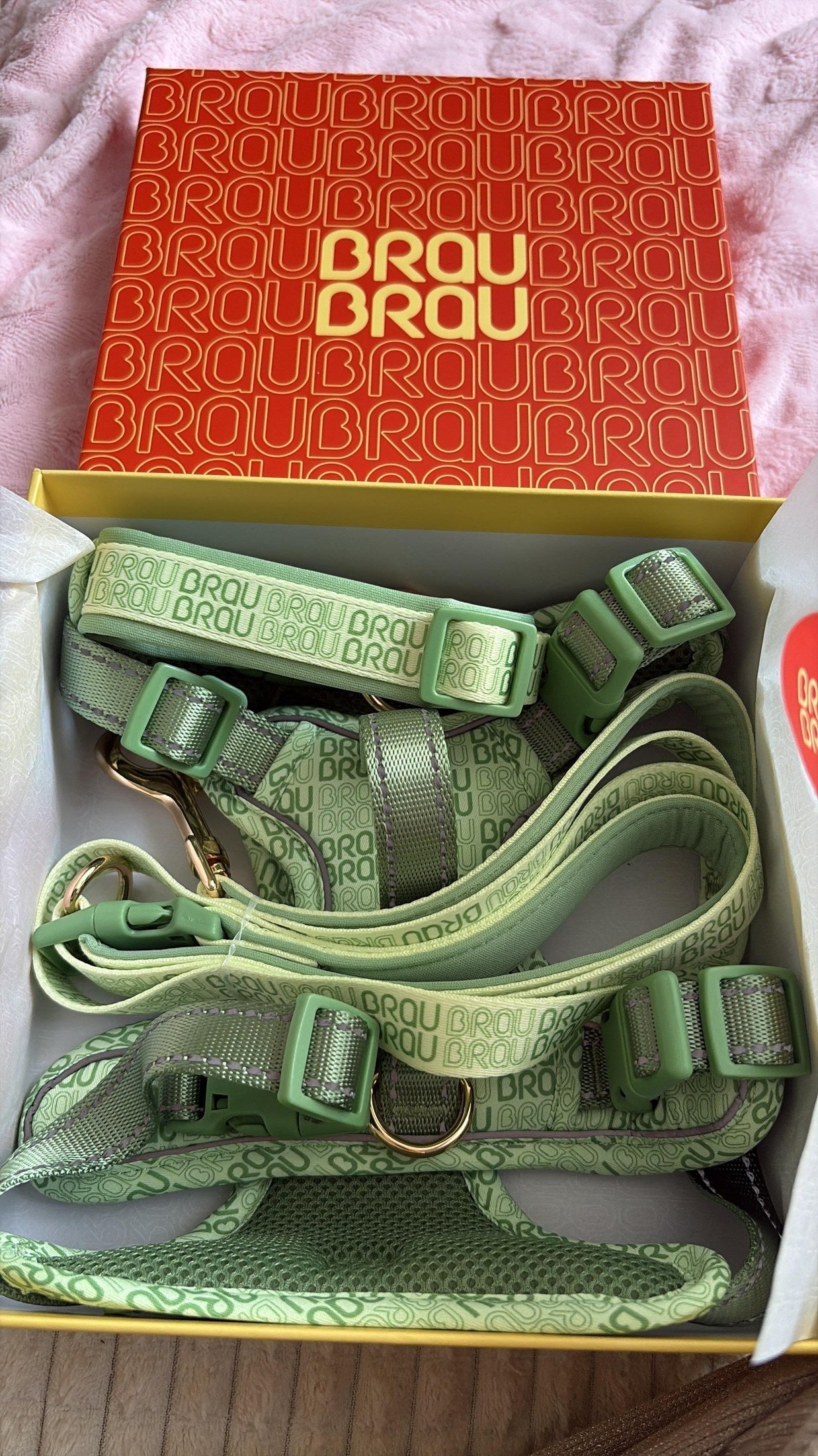 Walk set BrauBrau verde în cutie, pregătit pentru plimbarea câinelui