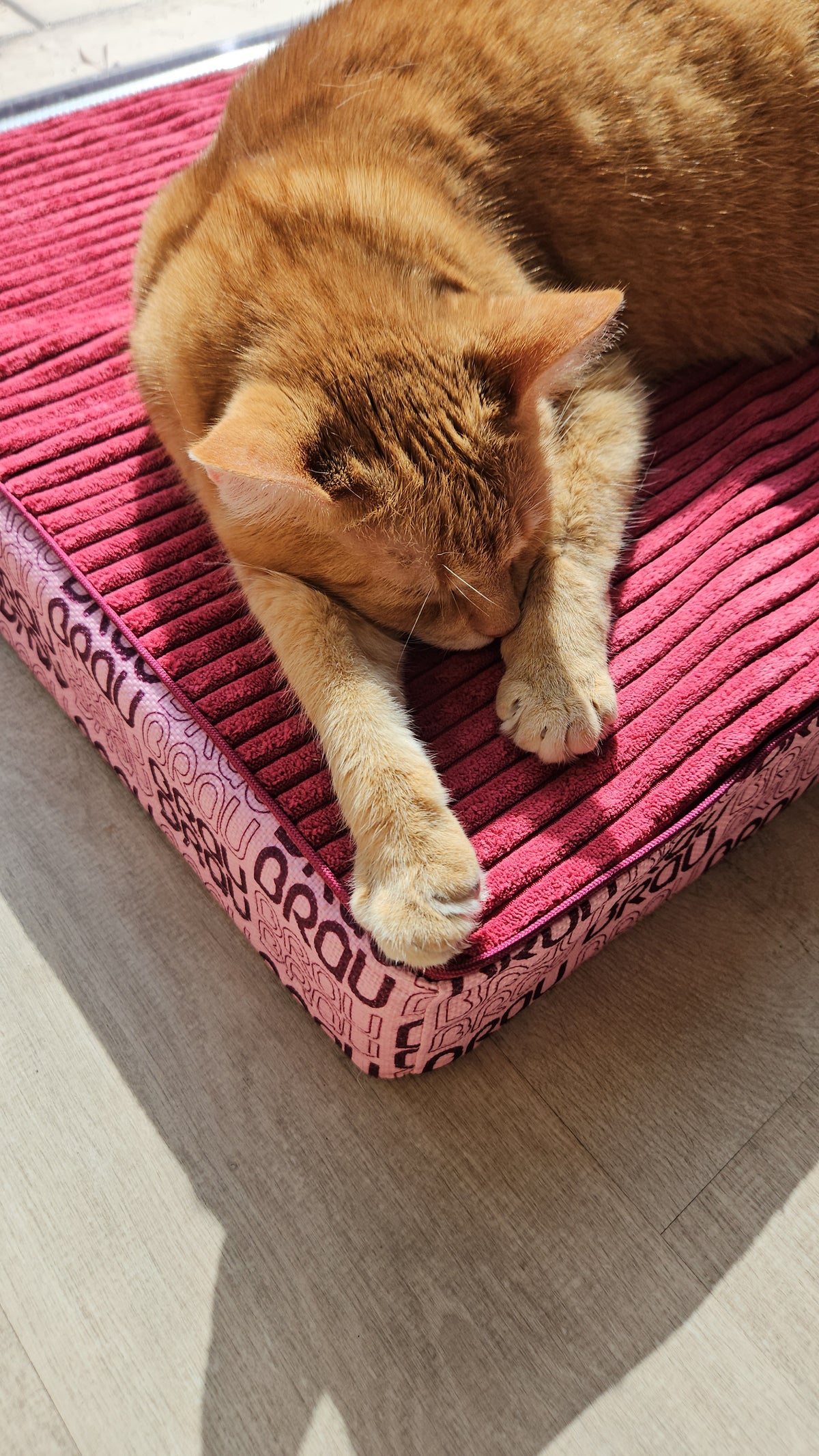 Hundematratze BRAUBRAU Signature Velvet Pink – für Hunde & Katzen