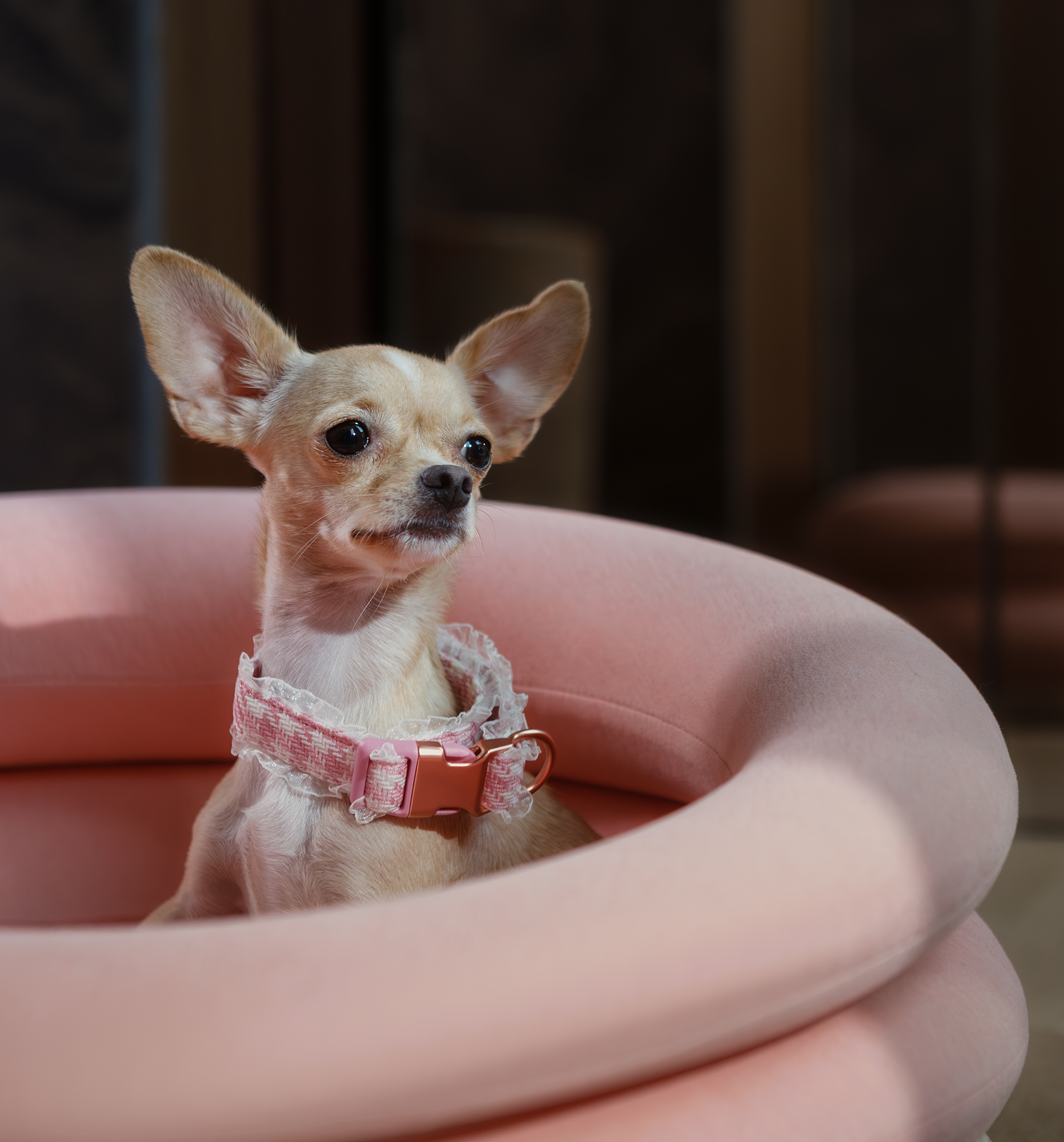 Canapea Premium Round Pink Pet Nest- BRAUBRAU pentru Animale de Companie (Câini și Pisici) ⁠⁠