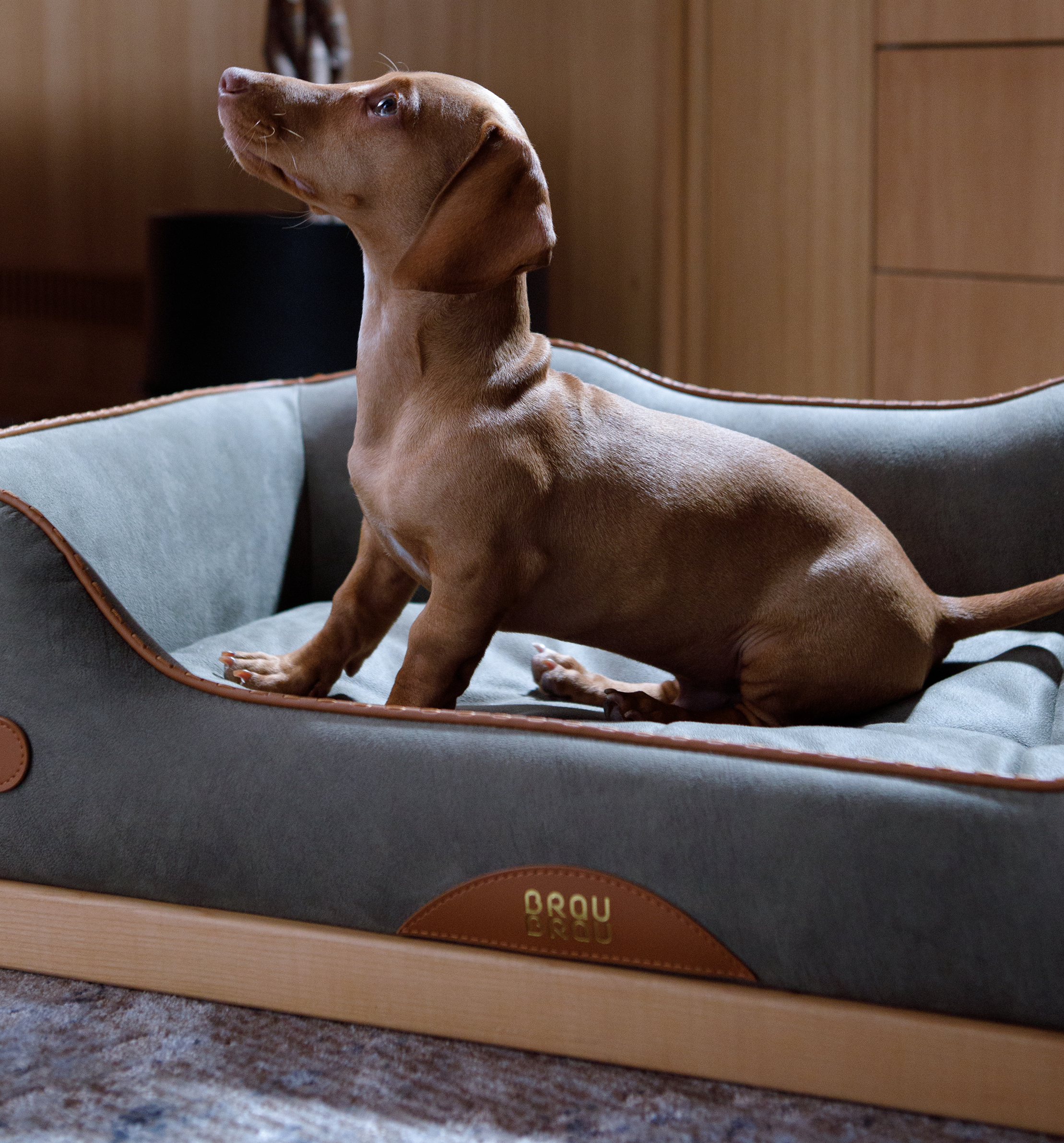 Premium-Bett Double Strap Wooden Bed - BRAUBRAU für Haustiere (Hunde und Katzen)