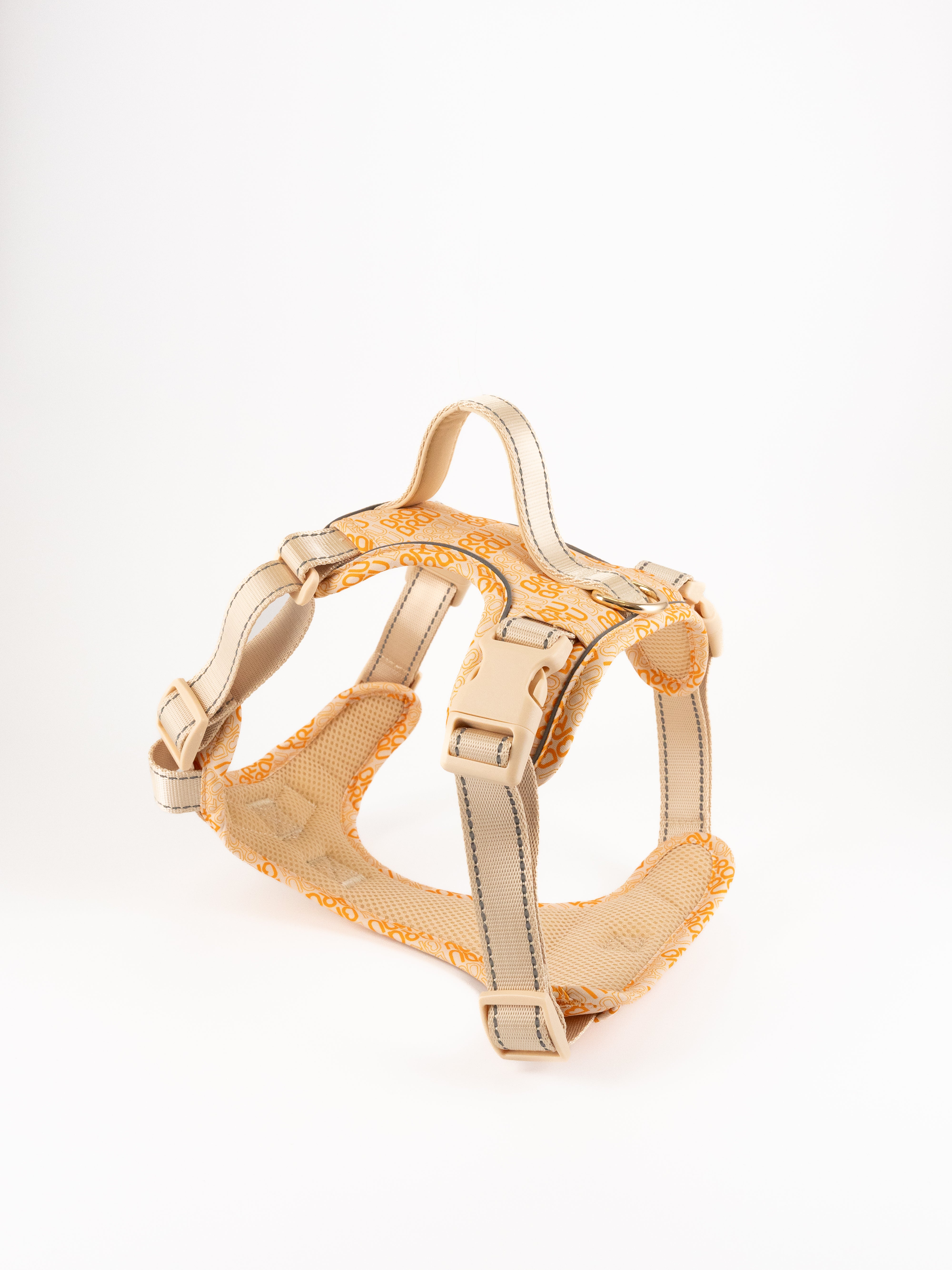 Signature Walk Set Orange (3-teilig) - Verstellbare Leine, Halsband und Geschirr für Hunde