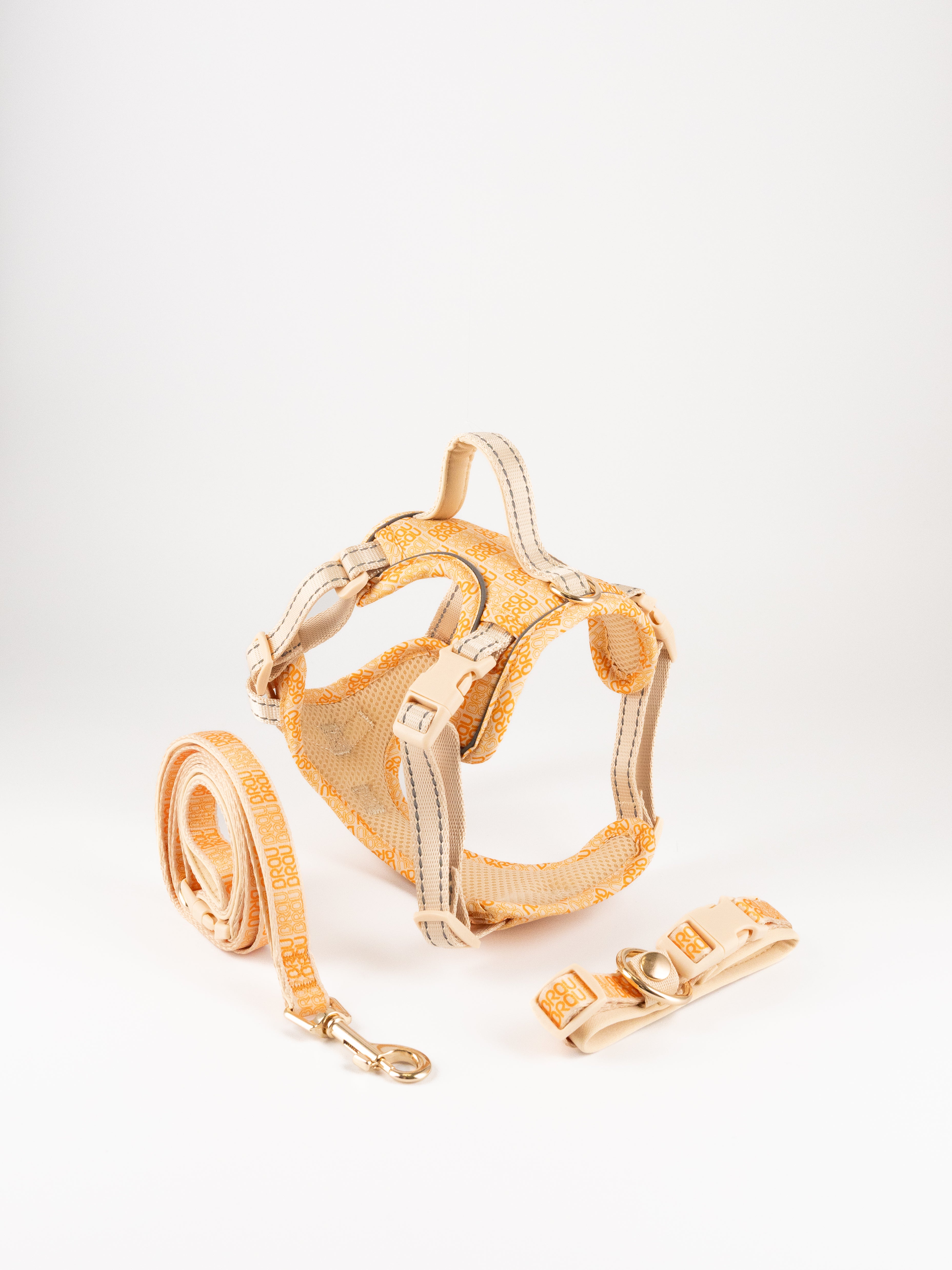 Signature Walk Set Orange (3-teilig) - Verstellbare Leine, Halsband und Geschirr für Hunde