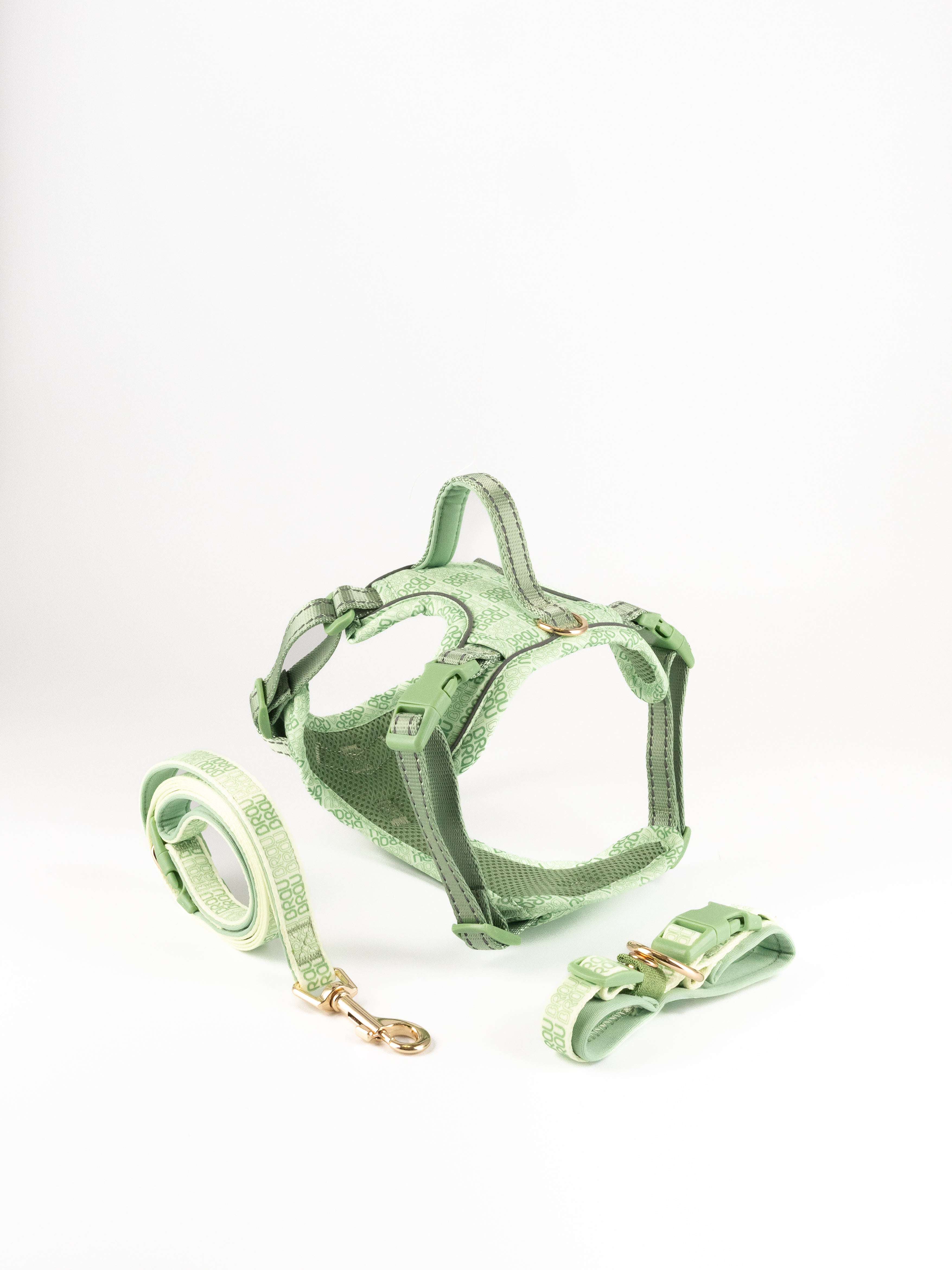 Signature Walk Set Grün (3-teilig) - Verstellbare Leine, Halsband und Geschirr für Hunde