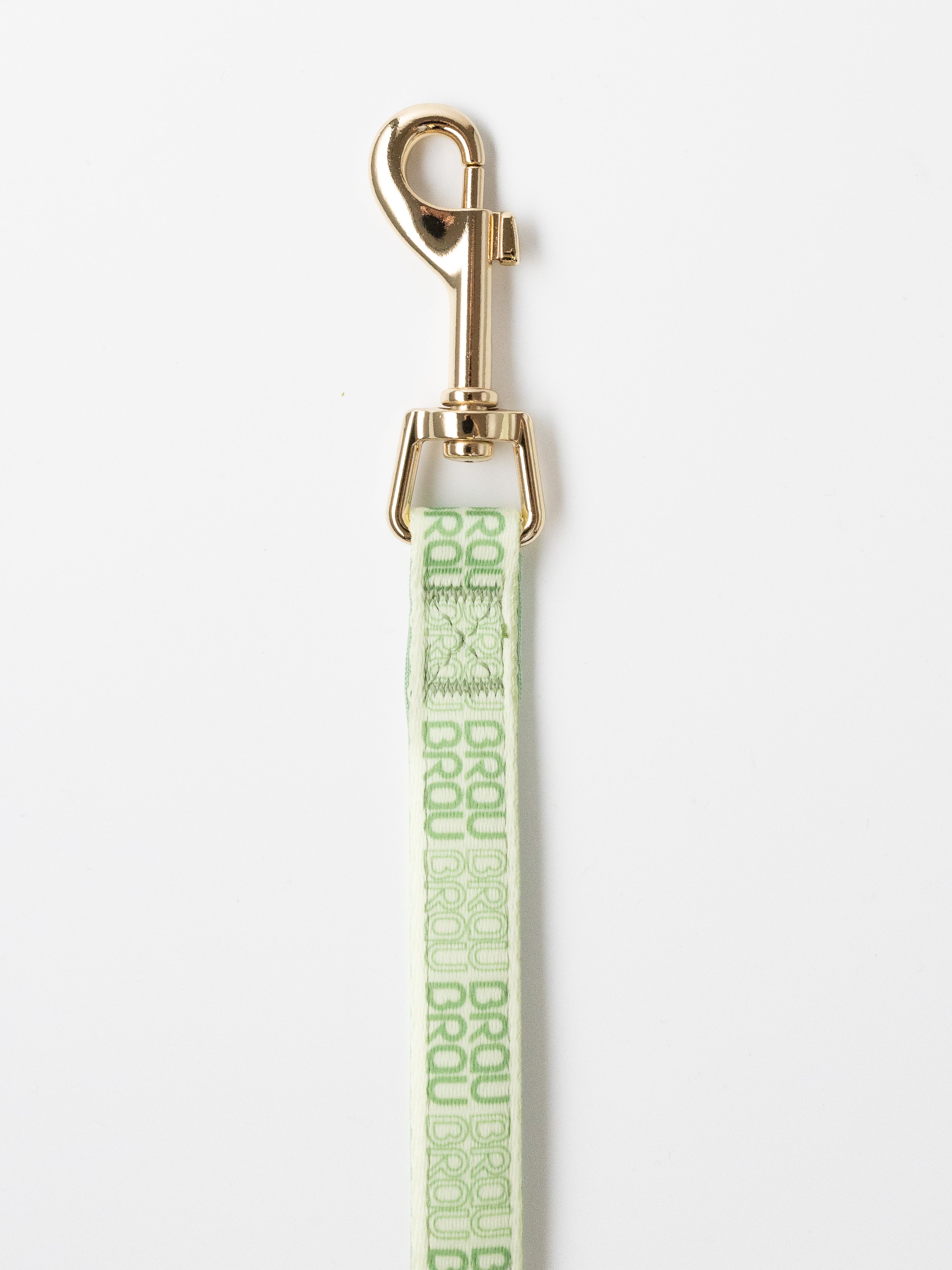 Signature Walk Set Grün (3-teilig) - Verstellbare Leine, Halsband und Geschirr für Hunde