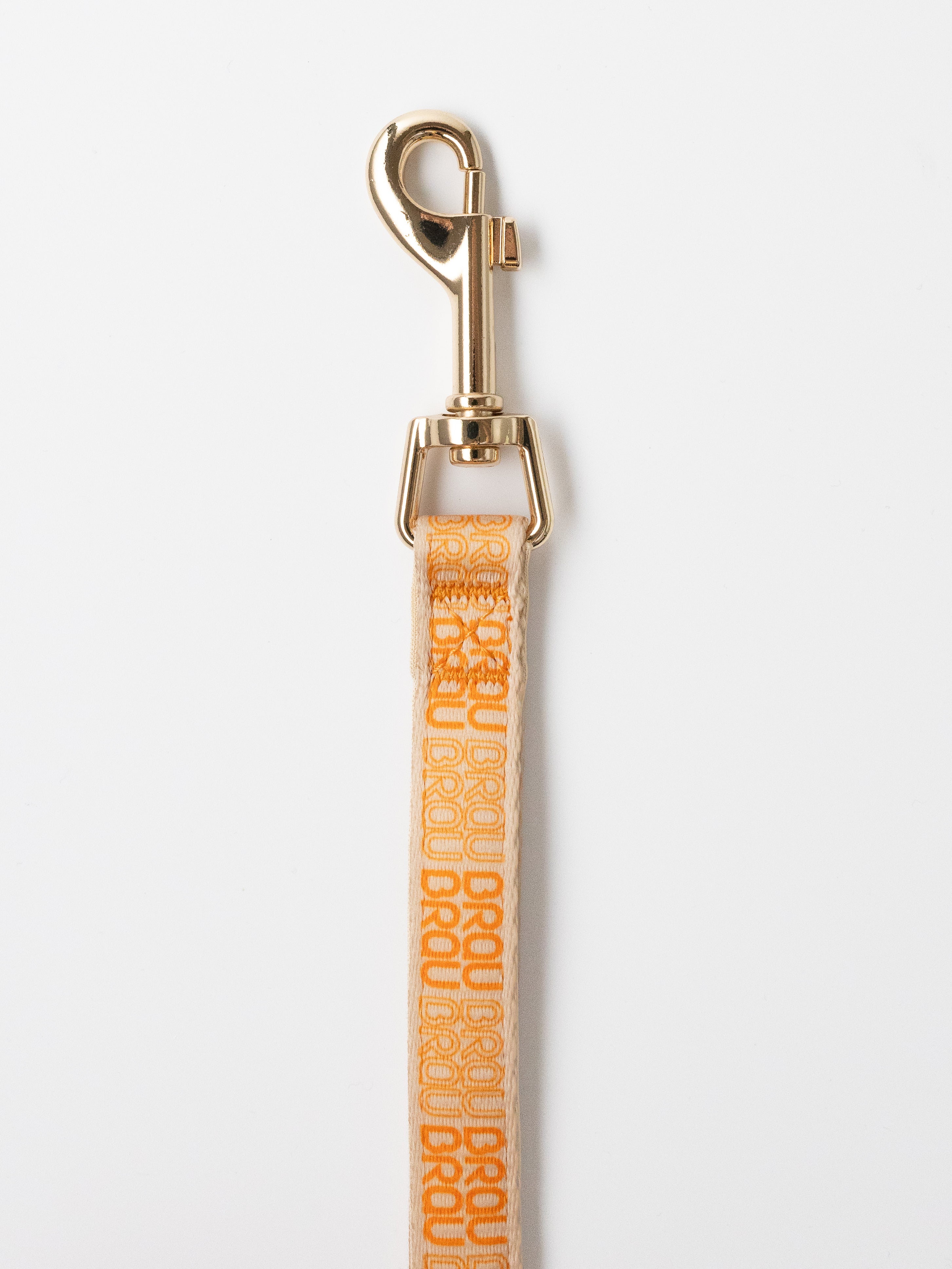 Signature Walk Set Orange (3-teilig) - Verstellbare Leine, Halsband und Geschirr für Hunde