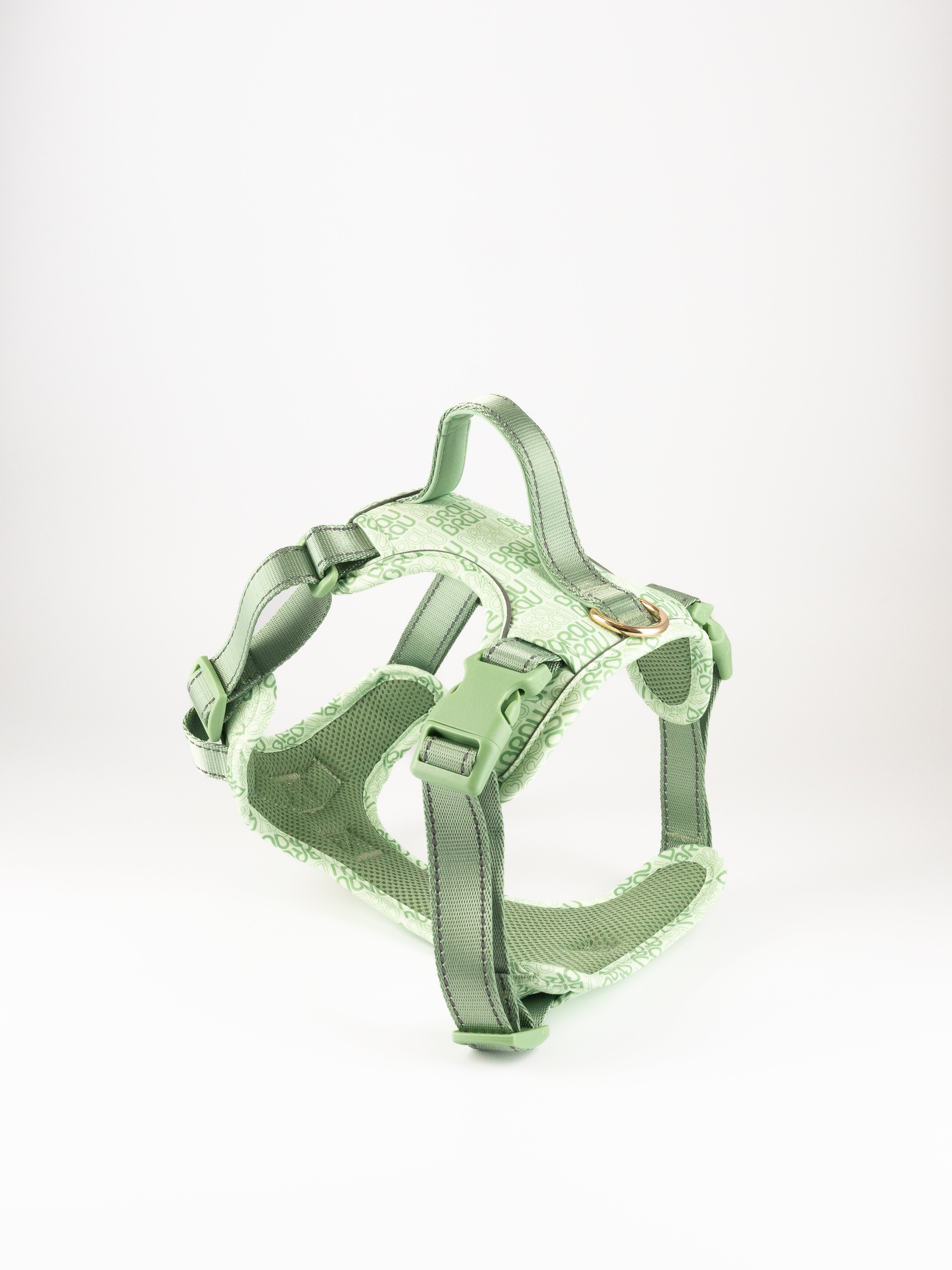 Signature Walk Set Grün (3-teilig) - Verstellbare Leine, Halsband und Geschirr für Hunde