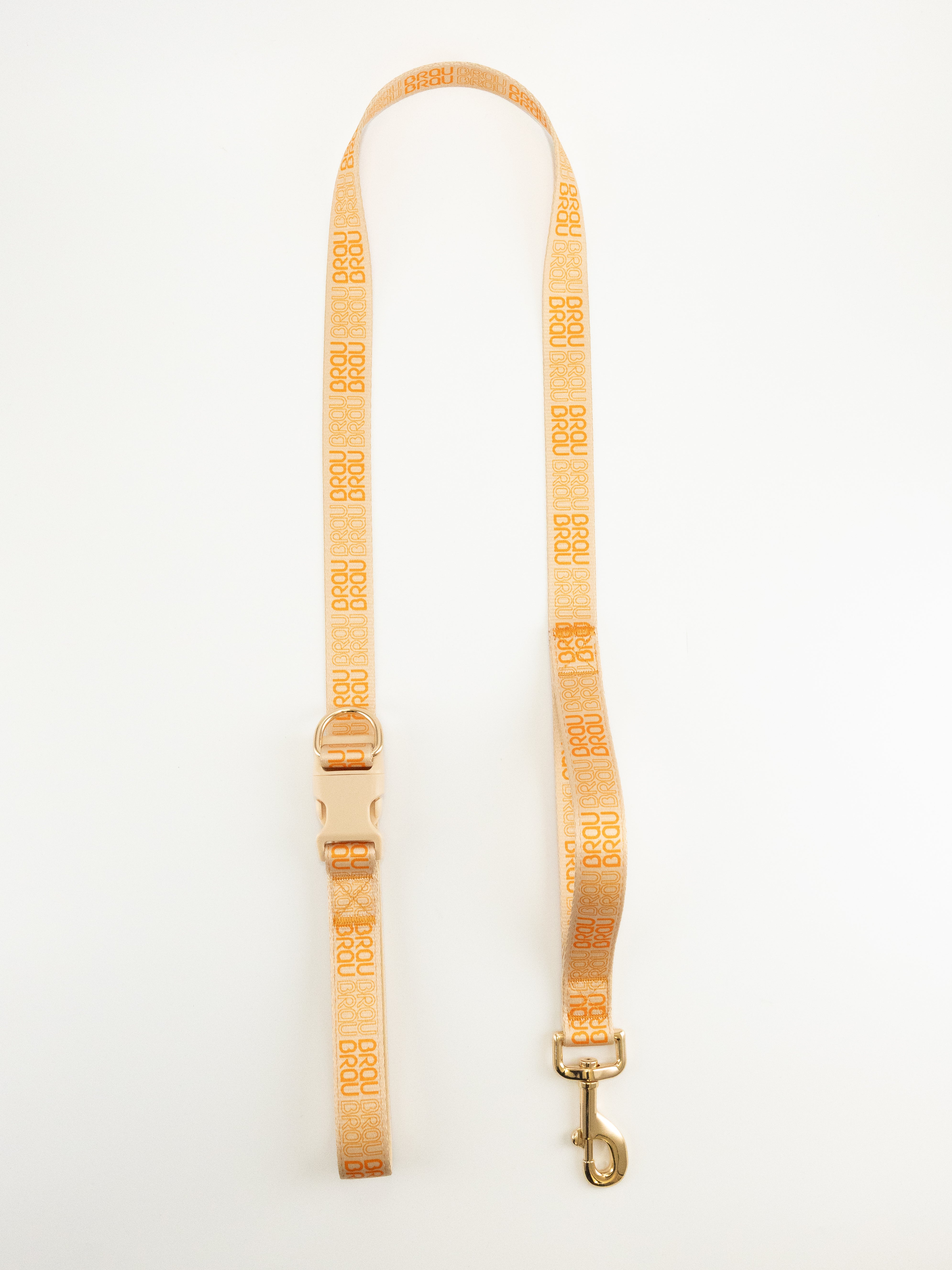 Signature Walk Set Orange (3-teilig) - Verstellbare Leine, Halsband und Geschirr für Hunde