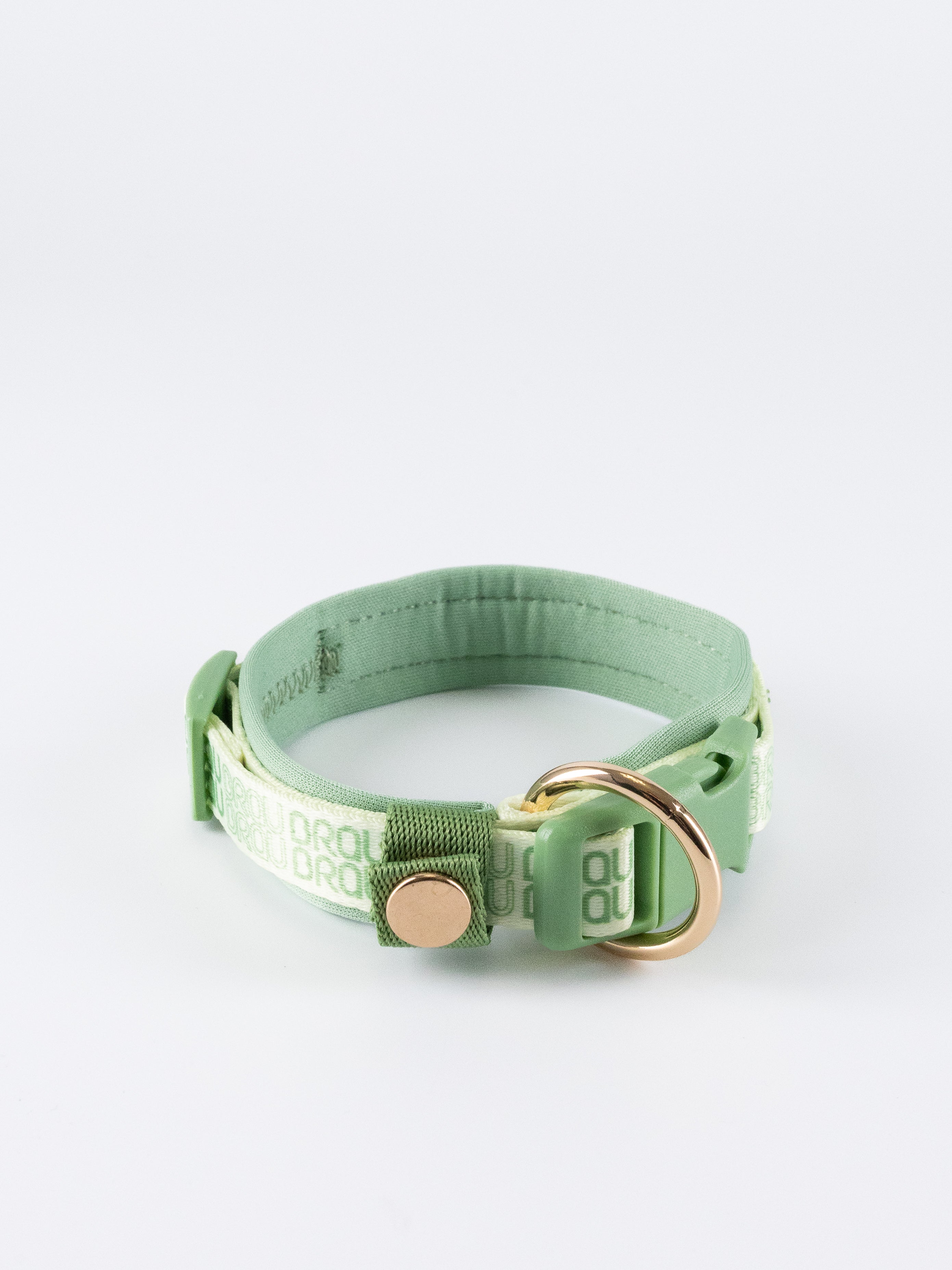 Signature Walk Set Grün (3-teilig) - Verstellbare Leine, Halsband und Geschirr für Hunde