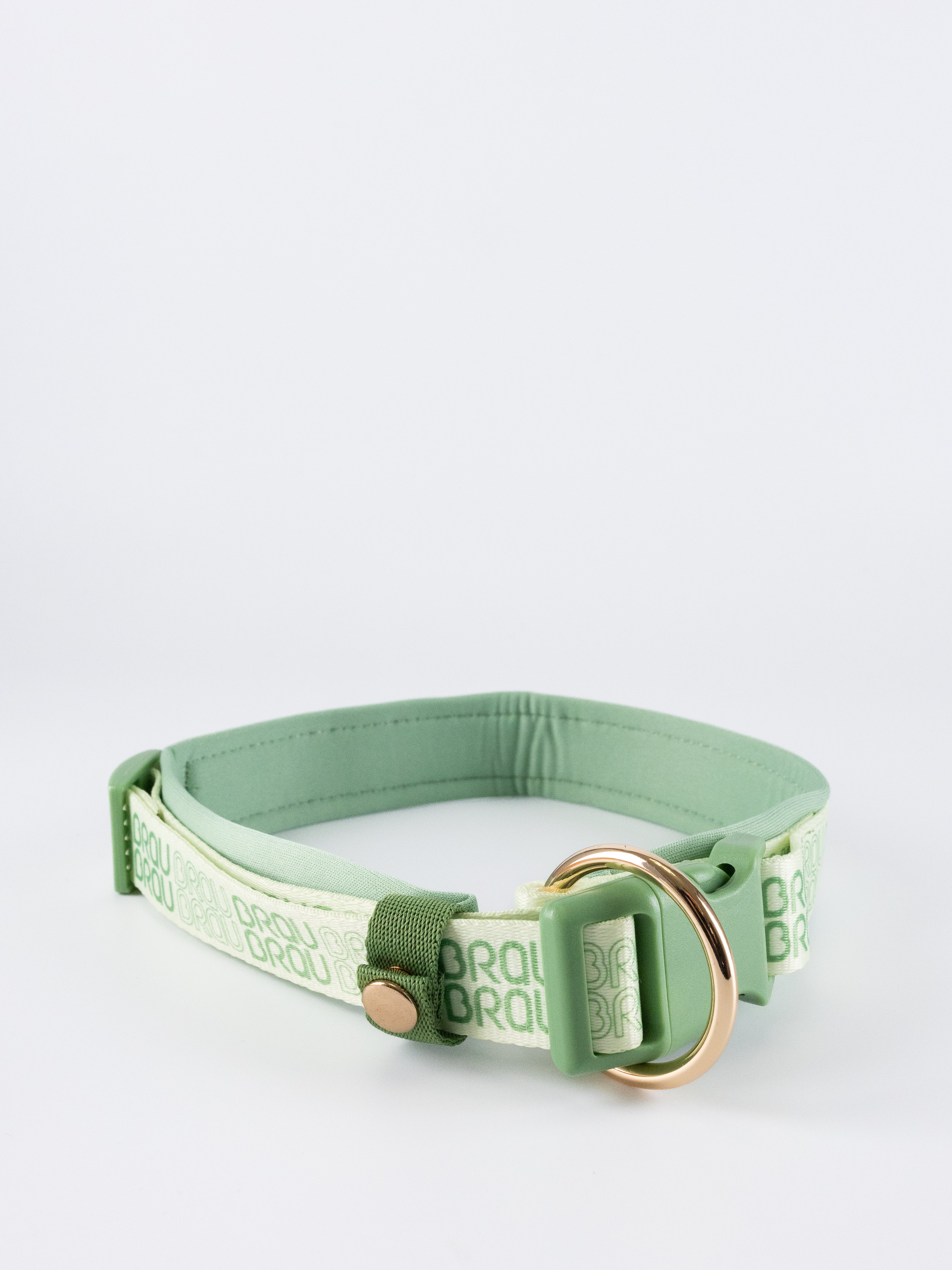 Signature Walk Set Grün (3-teilig) - Verstellbare Leine, Halsband und Geschirr für Hunde