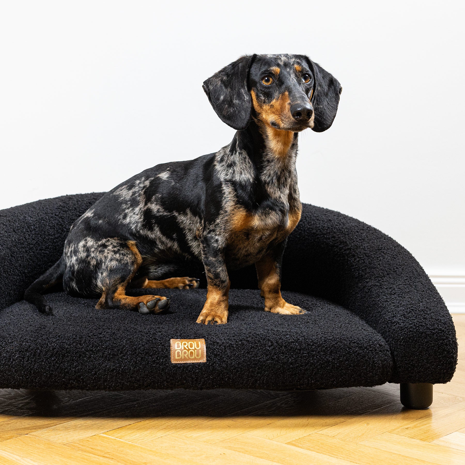 Schwarzes Sofa - Noir BRAUBRAU für Haustiere (Hunde und Katzen)