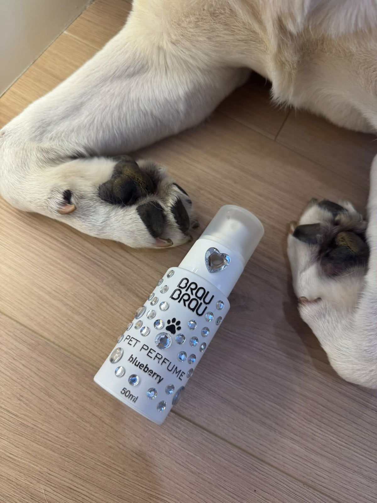 Parfum Blueberry für Hunde & Katzen – 50 ml