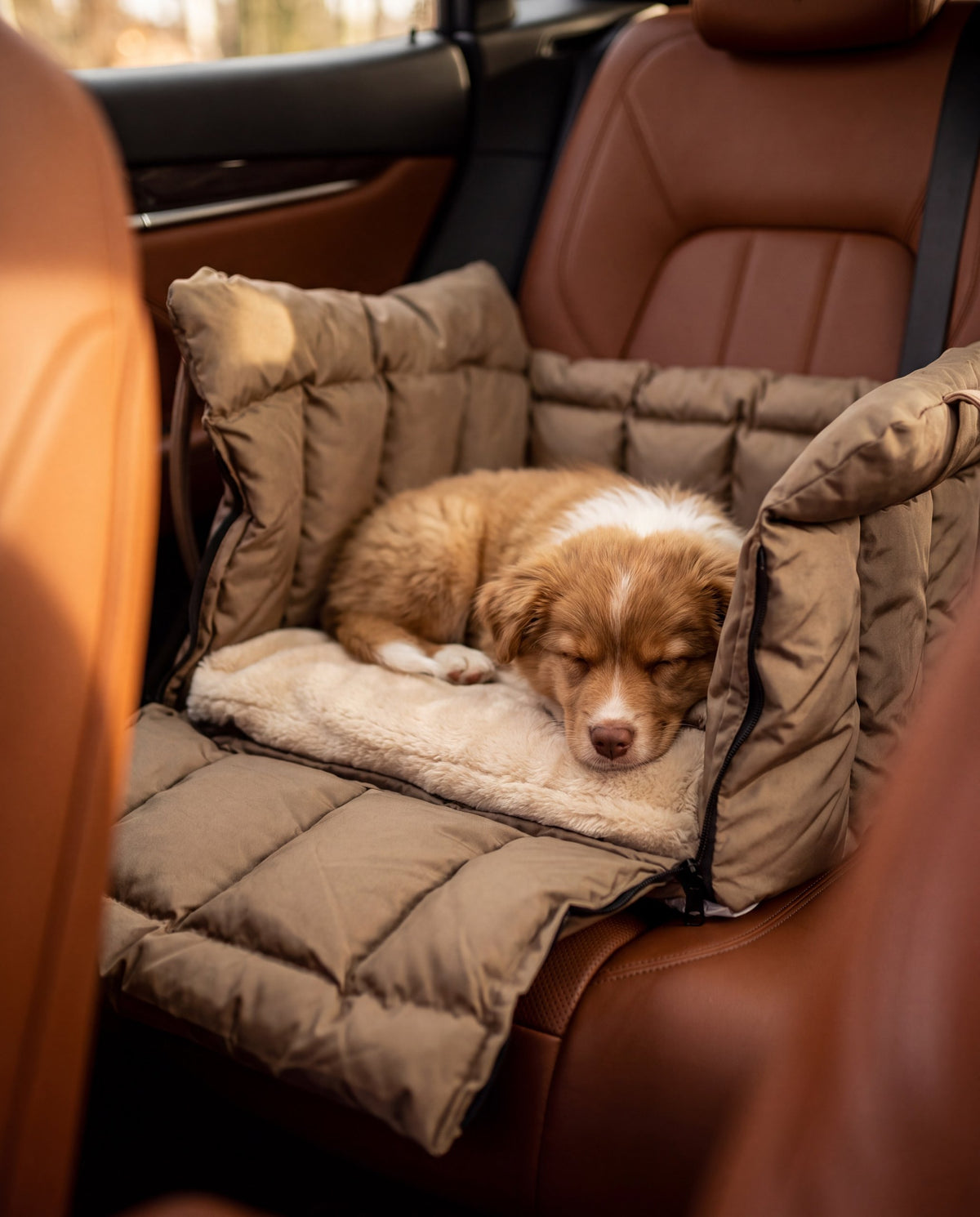 Autotasche Getaway Beige – für Hunde & Katzen