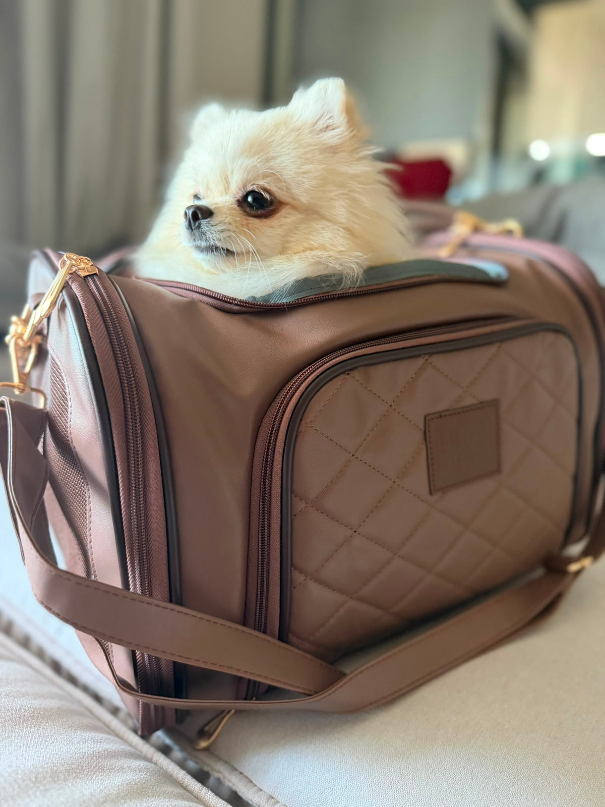 Erweiterbare Transporttasche mit Rollen Flight Carrier Bag Brown – für Hunde & Katzen