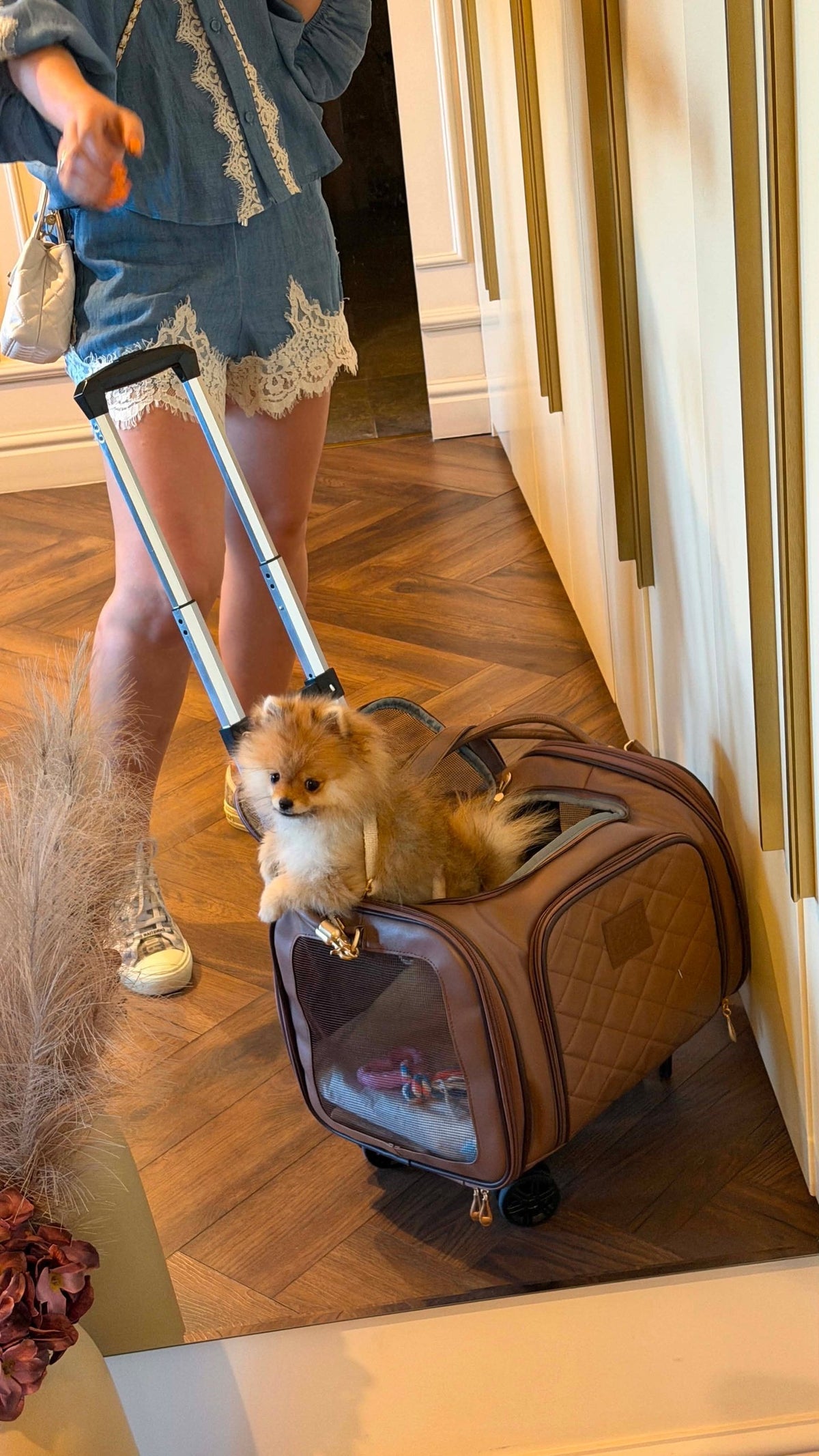 Erweiterbare Transporttasche mit Rollen Flight Carrier Bag Brown – für Hunde & Katzen