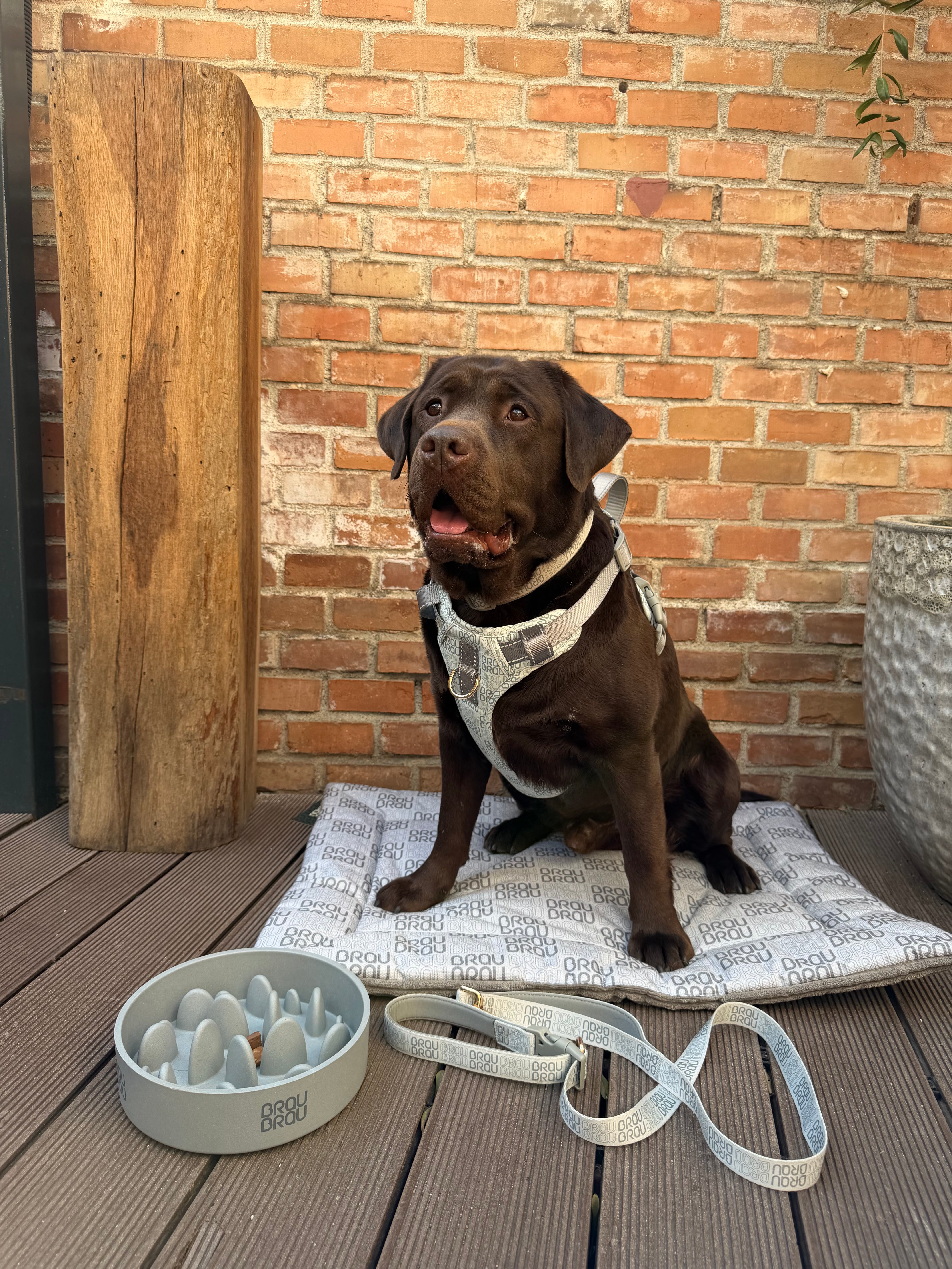 Graues Bett - Orthopädische Seide BRAUBRAU für Haustiere (Hunde und Katzen)