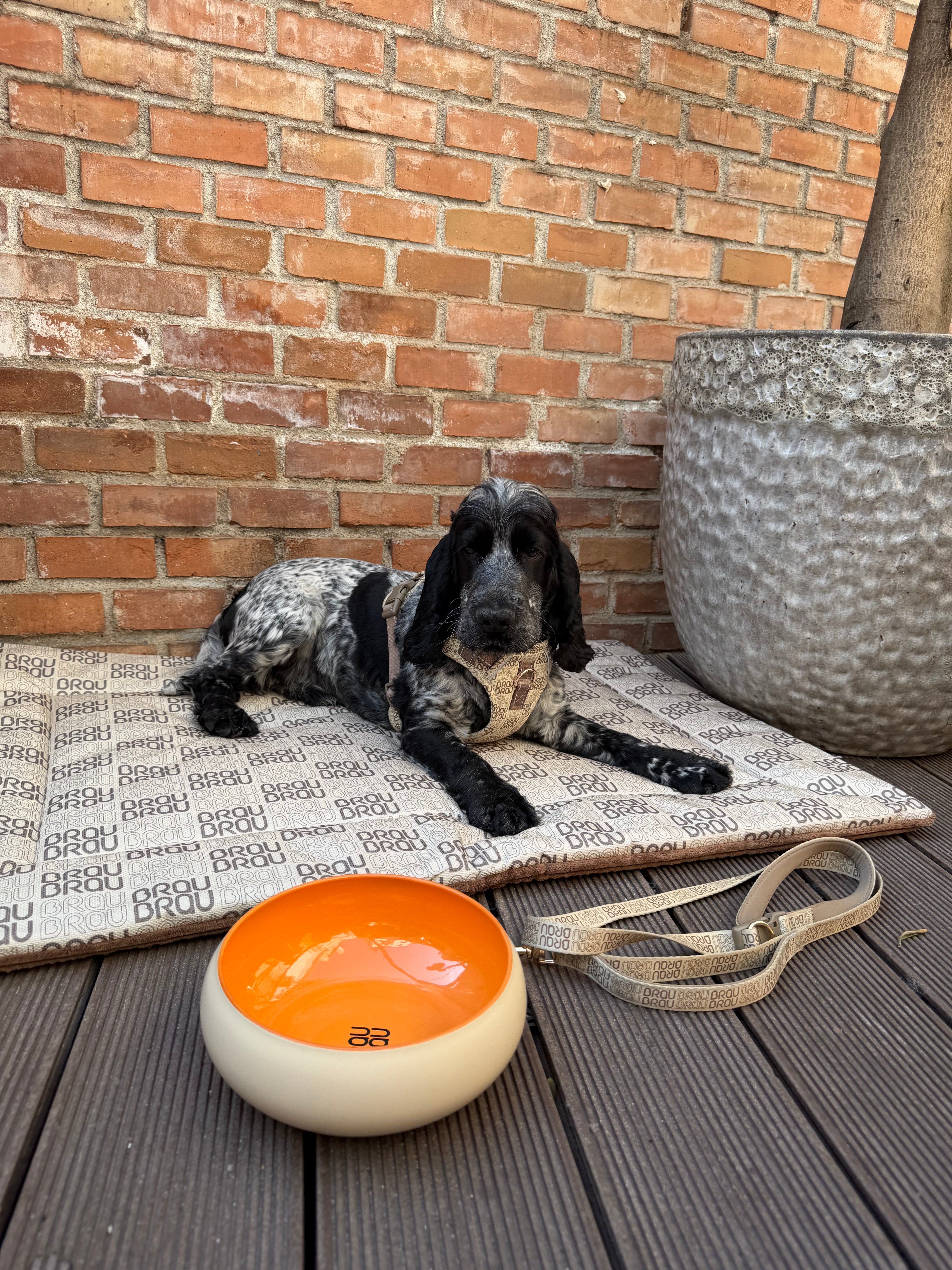 BRAUBRAU Signature Matratze Flat Mocha Mousse - Für Hunde und Katzen