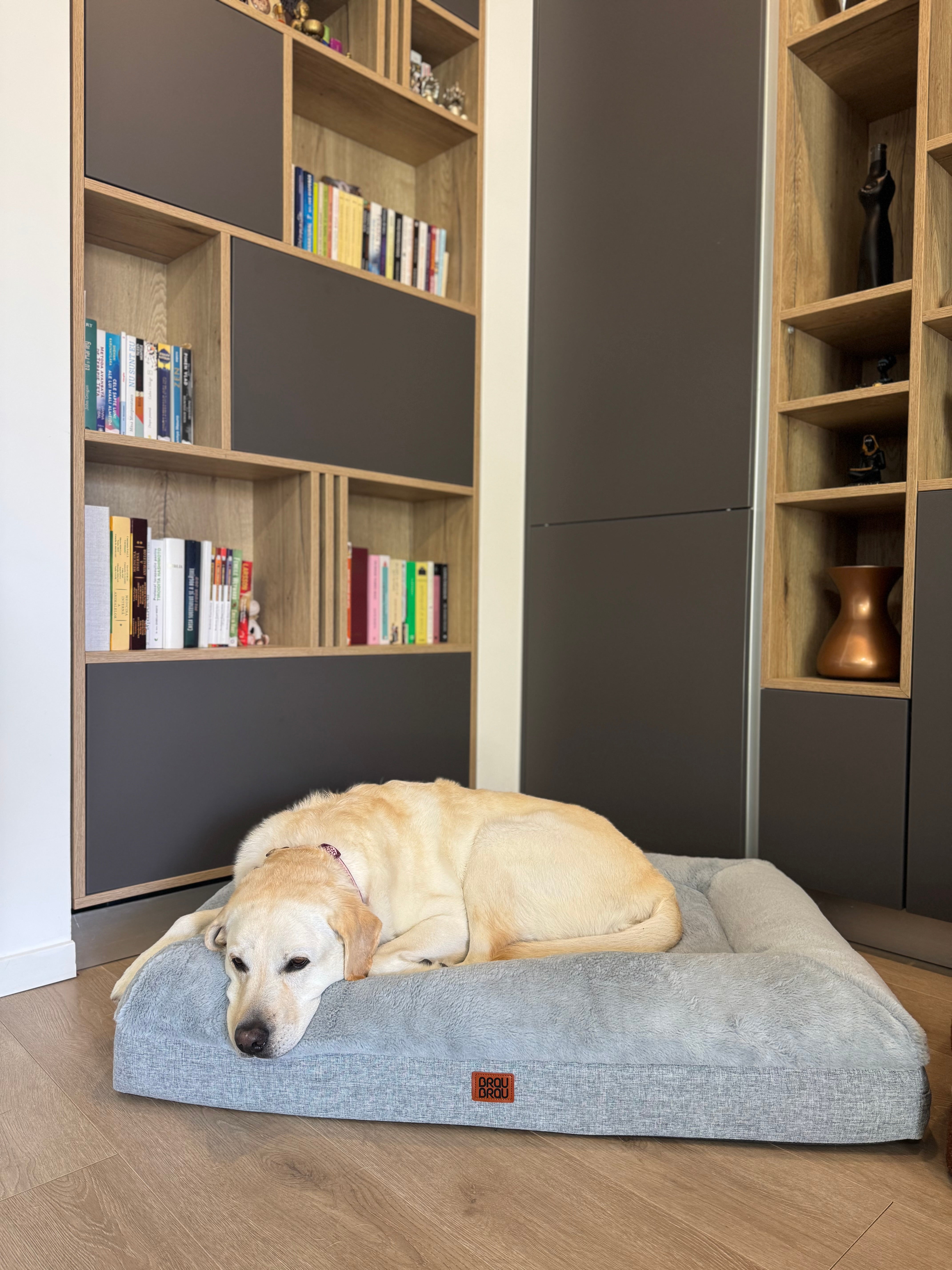Graues orthopädisches Bett - Silk BRAUBRAU für Haustiere (Hunde und Katzen)