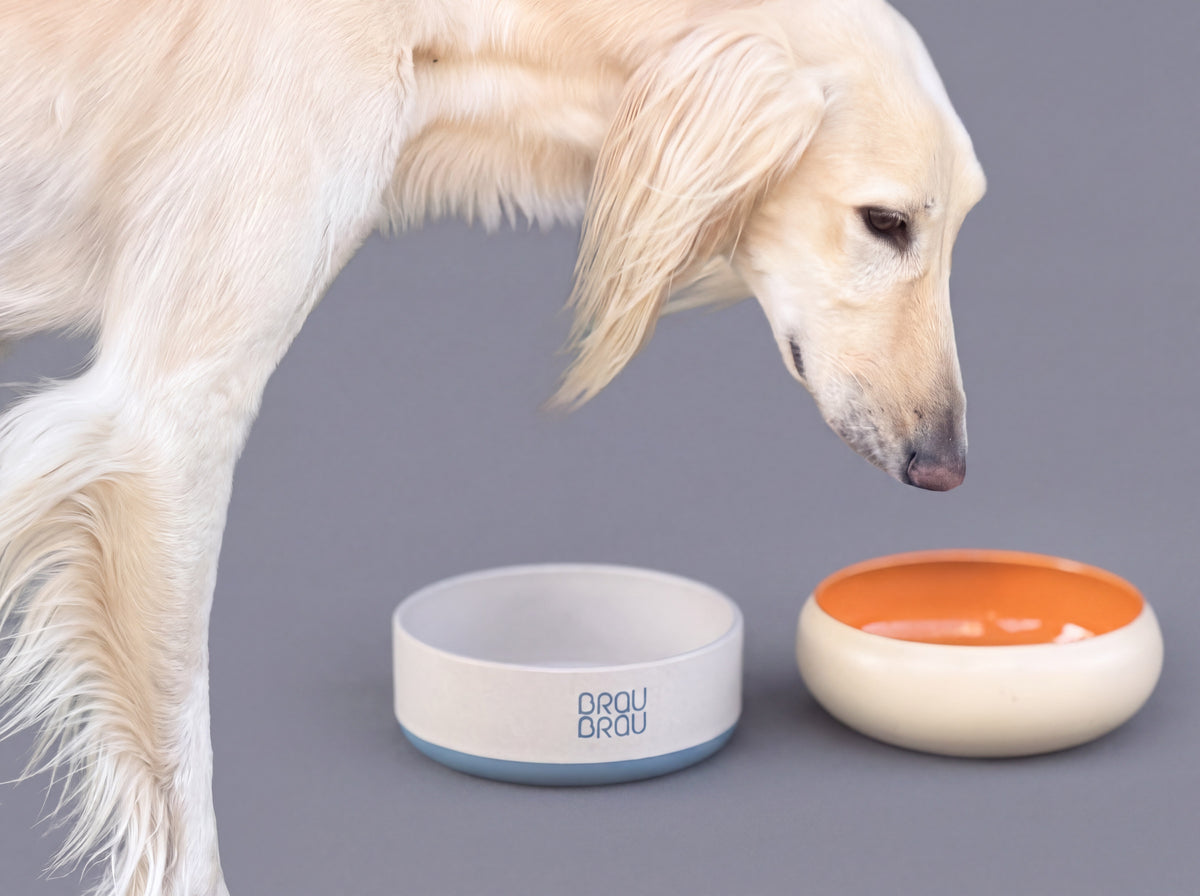 Anti-Rutsch-Napf Baby Blue von BRAUBRAU – für Hunde & Katzen