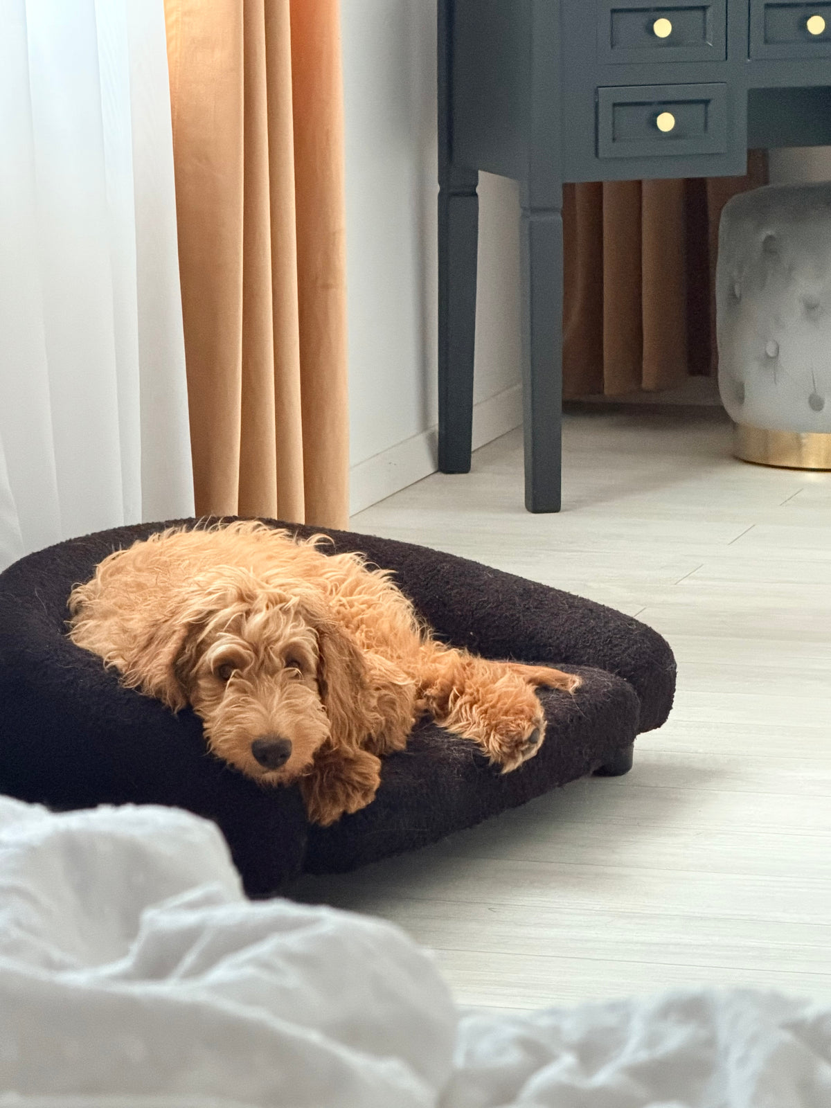 Bouclé-Sofa Noir Schwarz von BRAUBRAU – für Hunde & Katzen