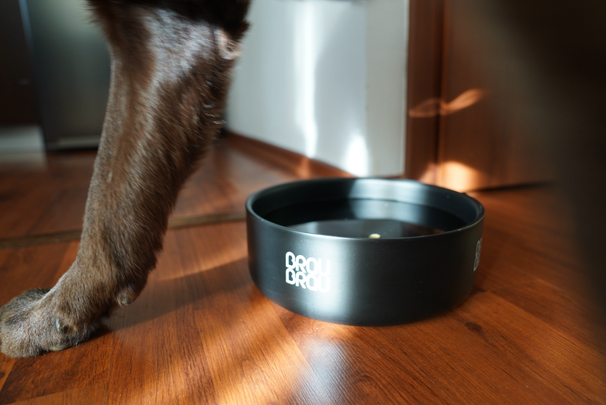 BRAUBRAU Napf Mattschwarz – für Hunde & Katzen