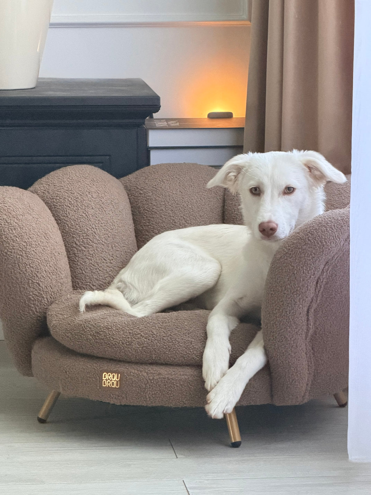 Bouclé-Sofa Cappuccino Flower Braun von BRAUBRAU – für Hunde & Katzen