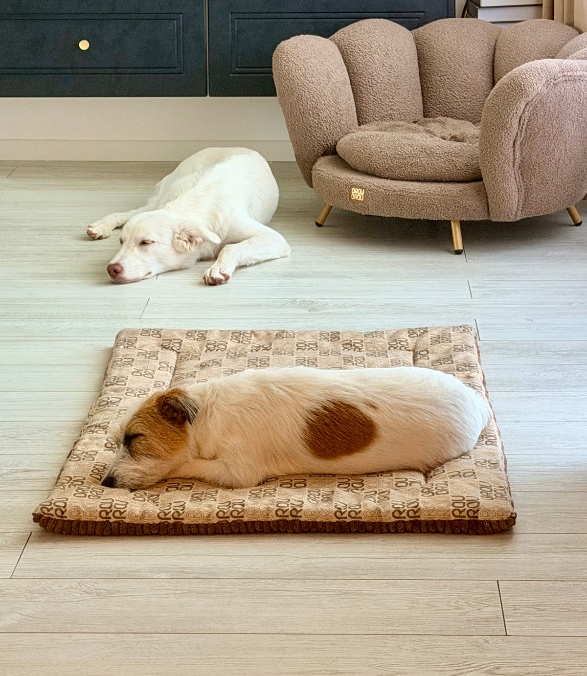 Hundematratze BRAUBRAU Signature Flat Mocha Mousse – für Hunde & Katzen