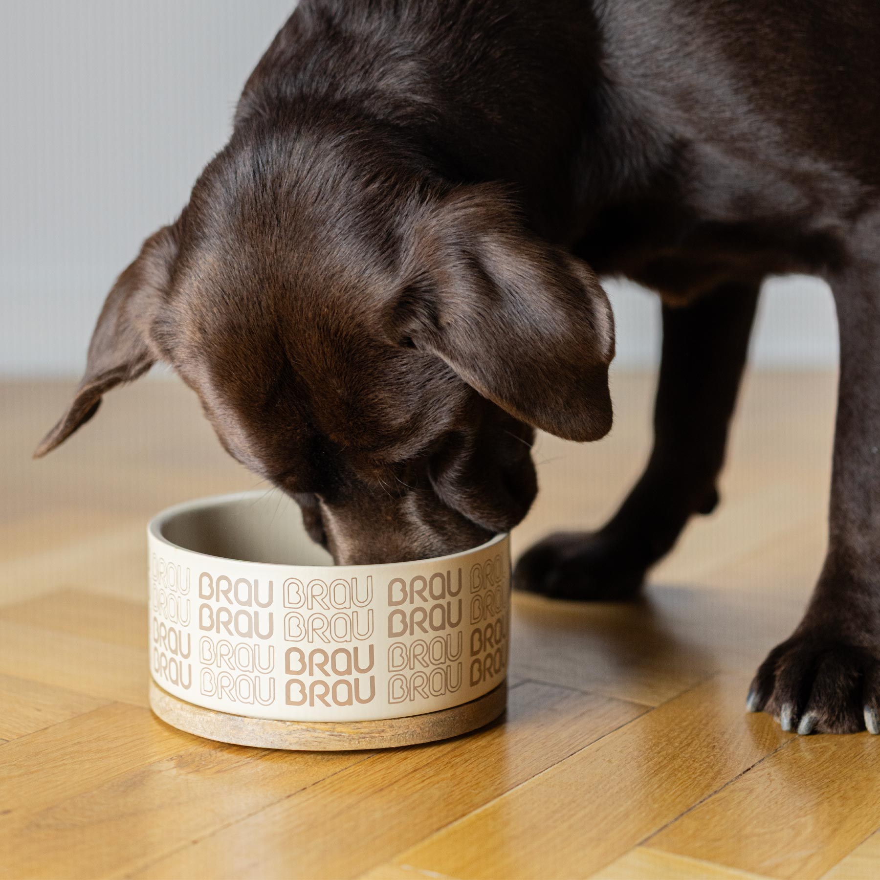 BRAUBRAU Beiger Futternapf für Haustiere (Hunde & Katzen)