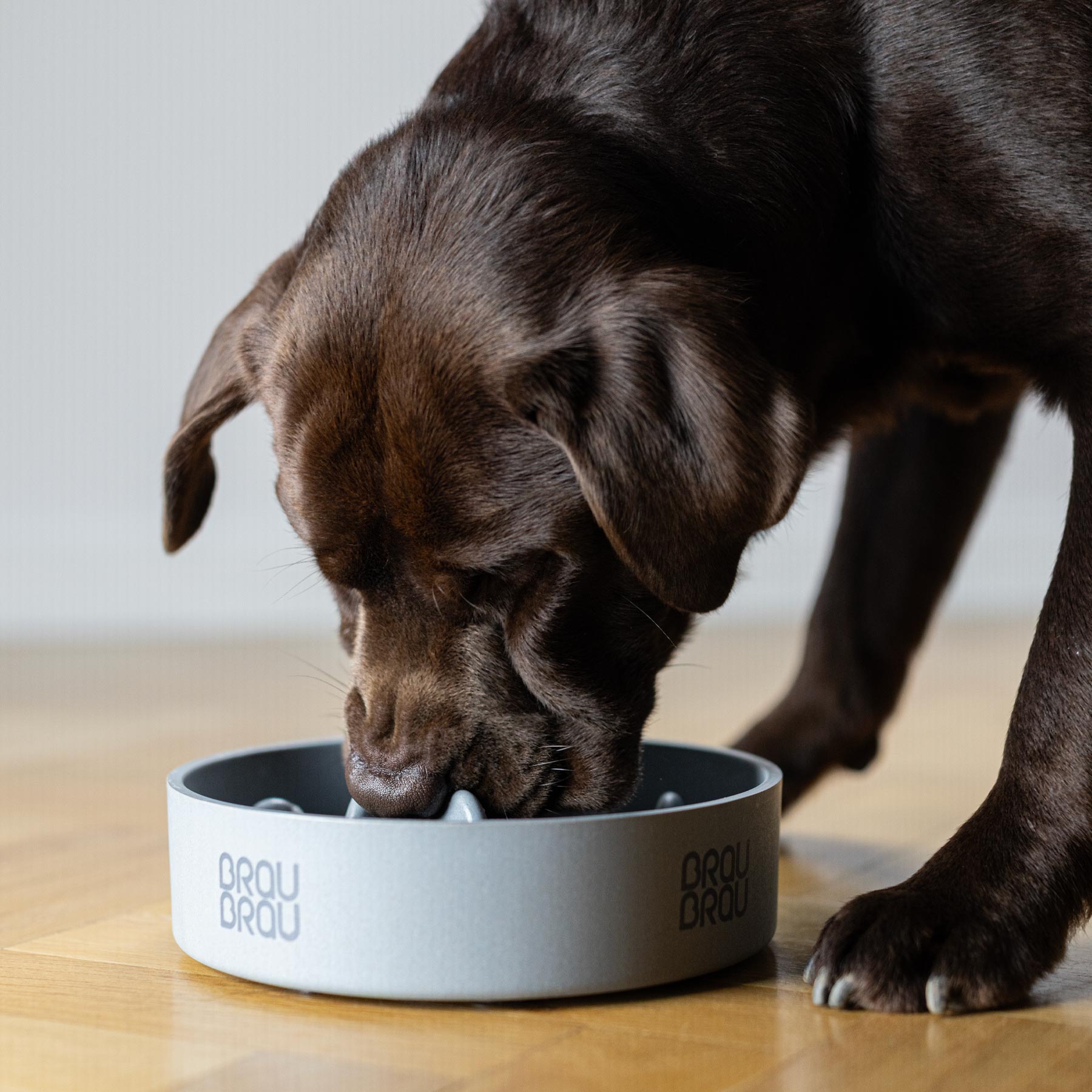 BRAUBRAU Slow Dining Bambusnapf Grau für Haustiere (Hunde & Katzen)