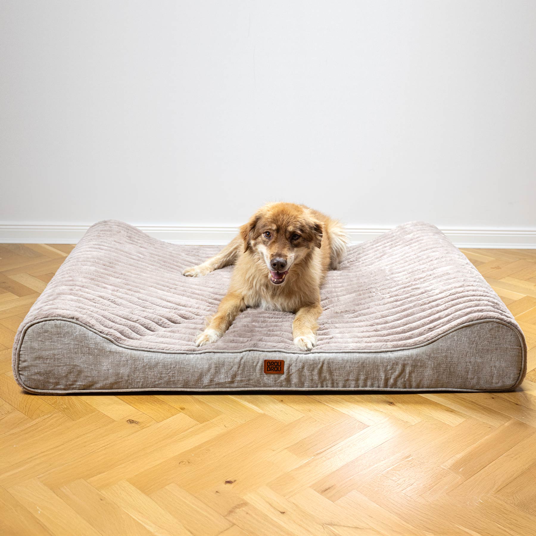Beiges Bett - Relaxa Beige BRAUBRAU für Haustiere (Hunde und Katzen)