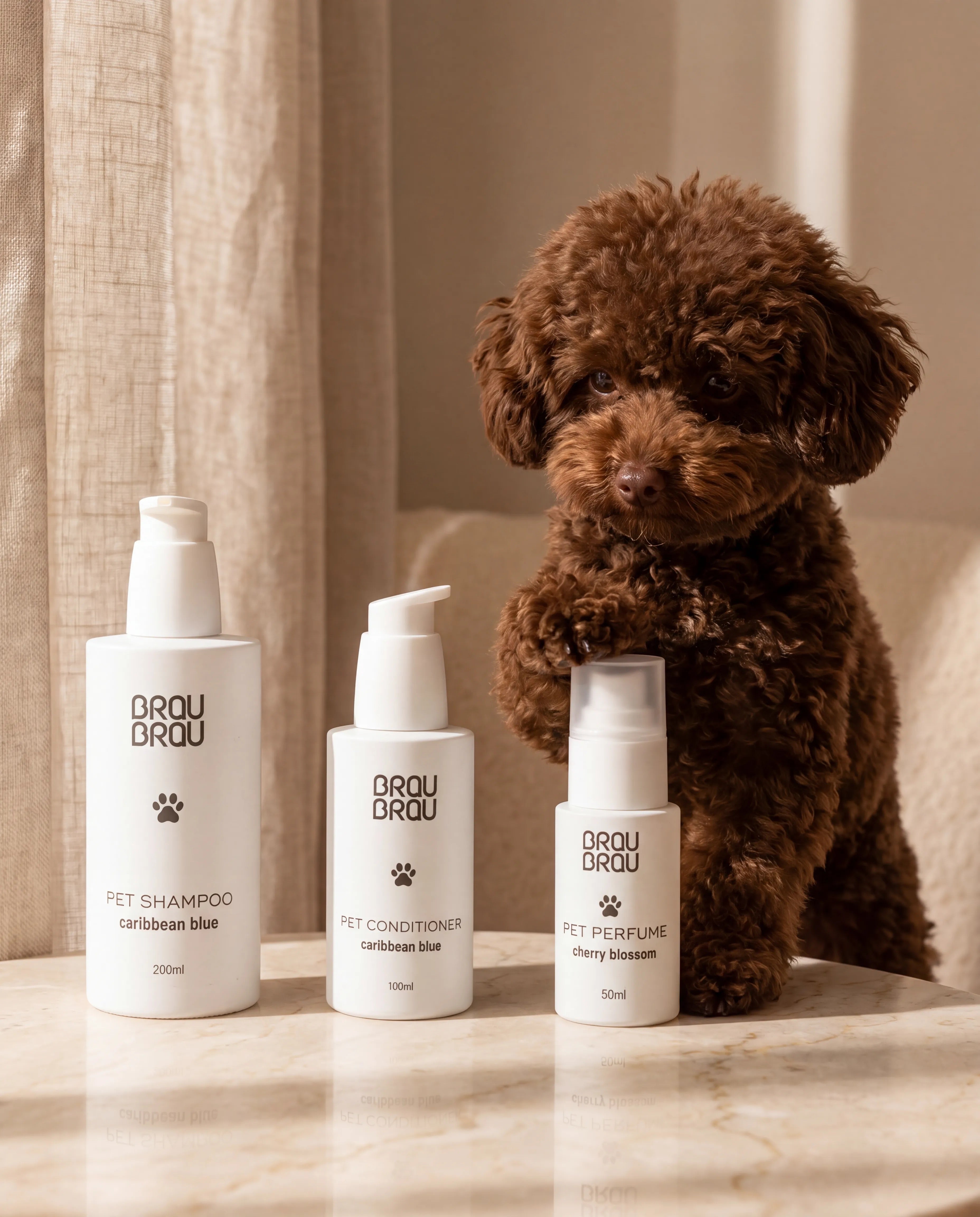 Conditioner für Hunde & Katzen Marrocan Gold - 100 ml