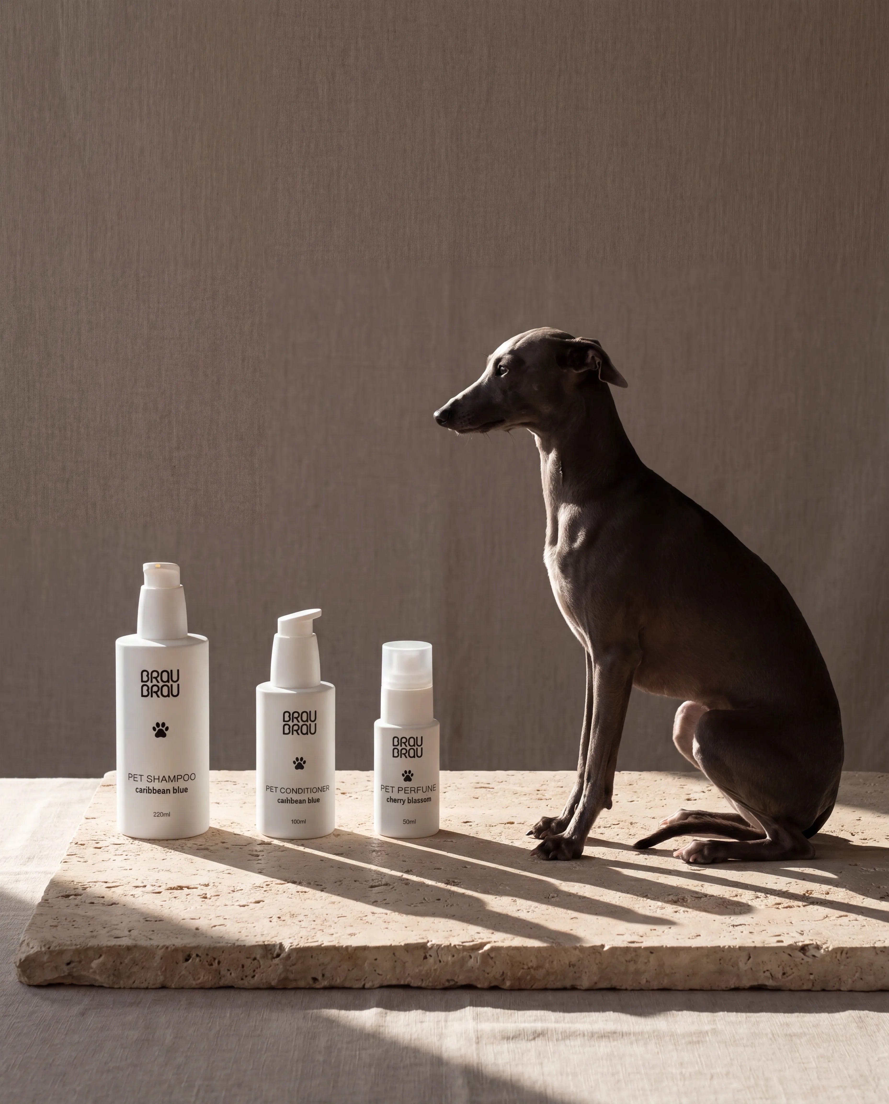 Shampoo für Hunde & Katzen Caribbean Blue - 200 ml