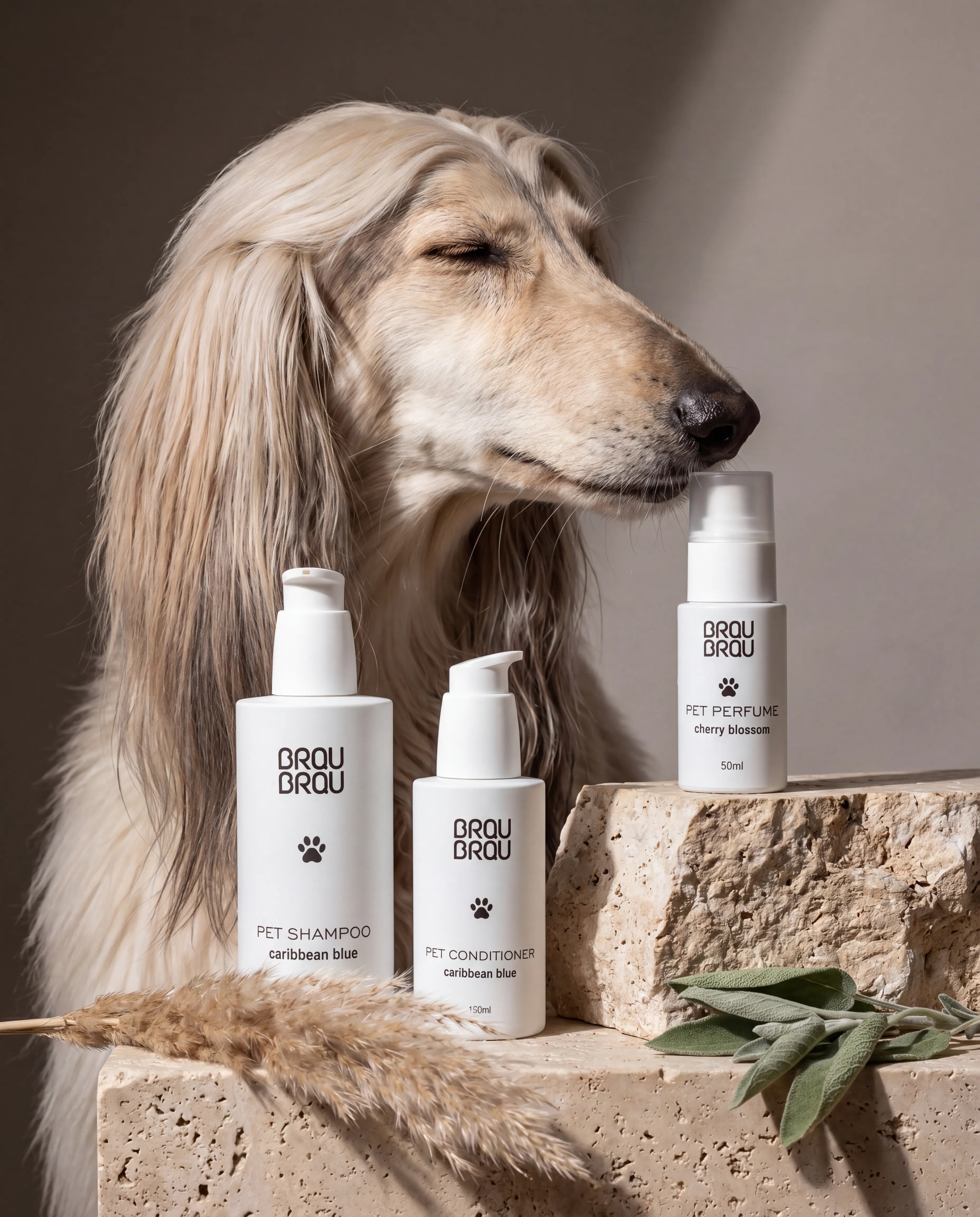 Shampoo für Hunde & Katzen Caribbean Blue - 200 ml