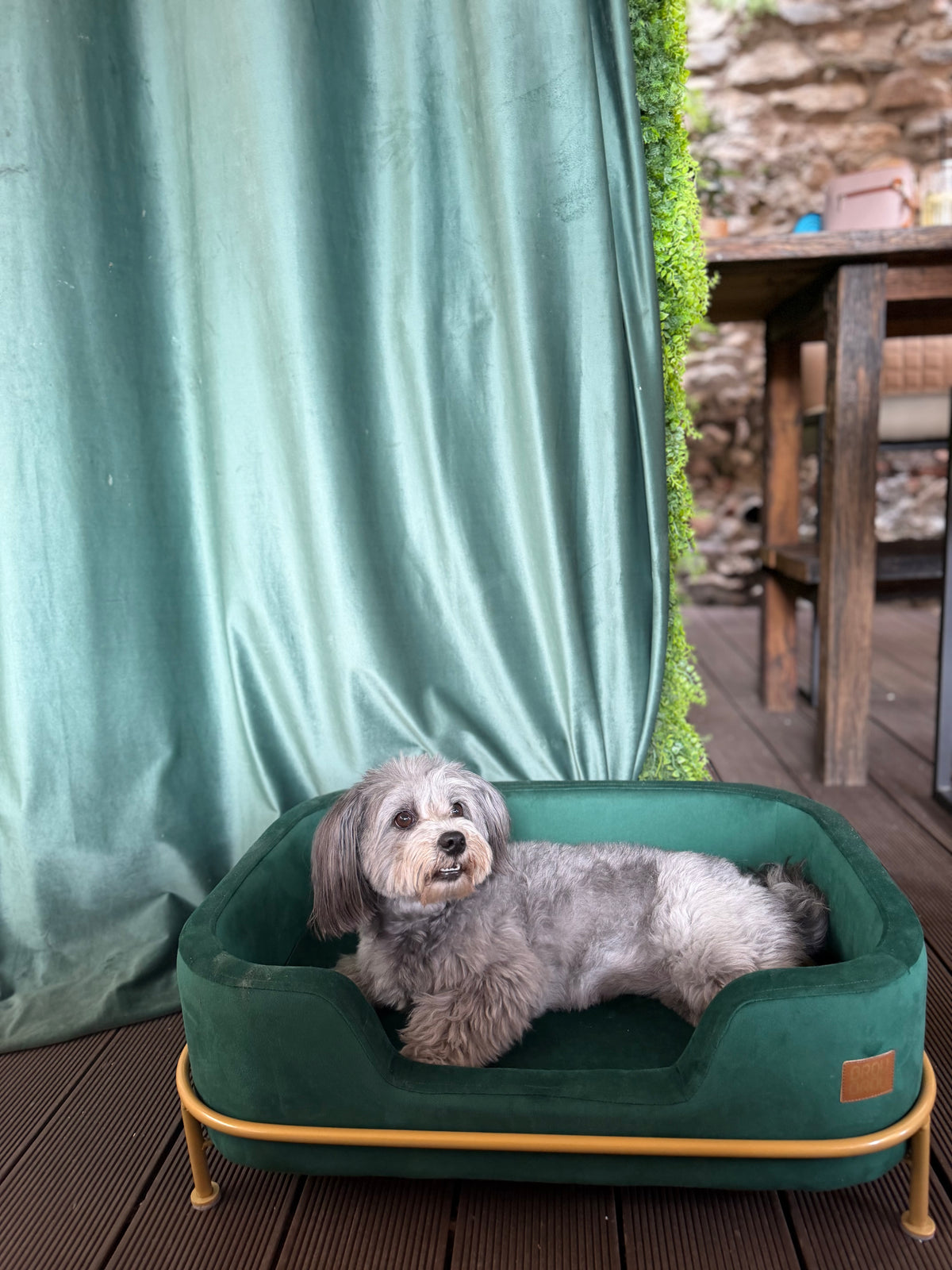 Samtsofa Velvet Emerald Grün von BRAUBRAU – für Hunde & Katzen