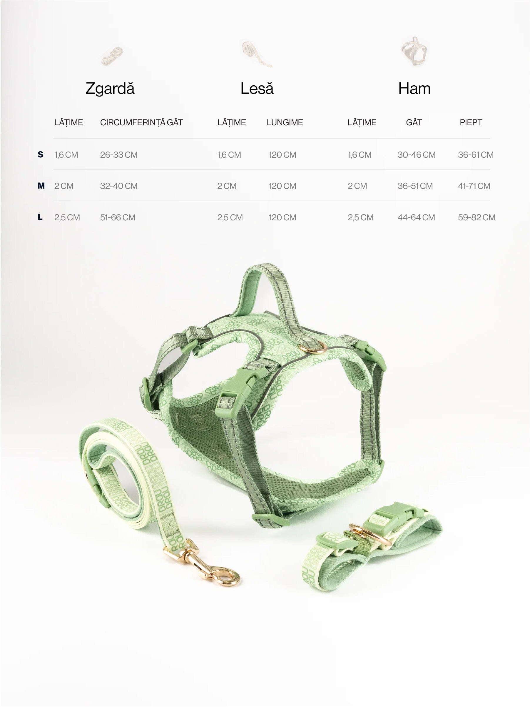 Signature Walk Set Grün (3-teilig) - Verstellbare Leine, Halsband und Geschirr für Hunde