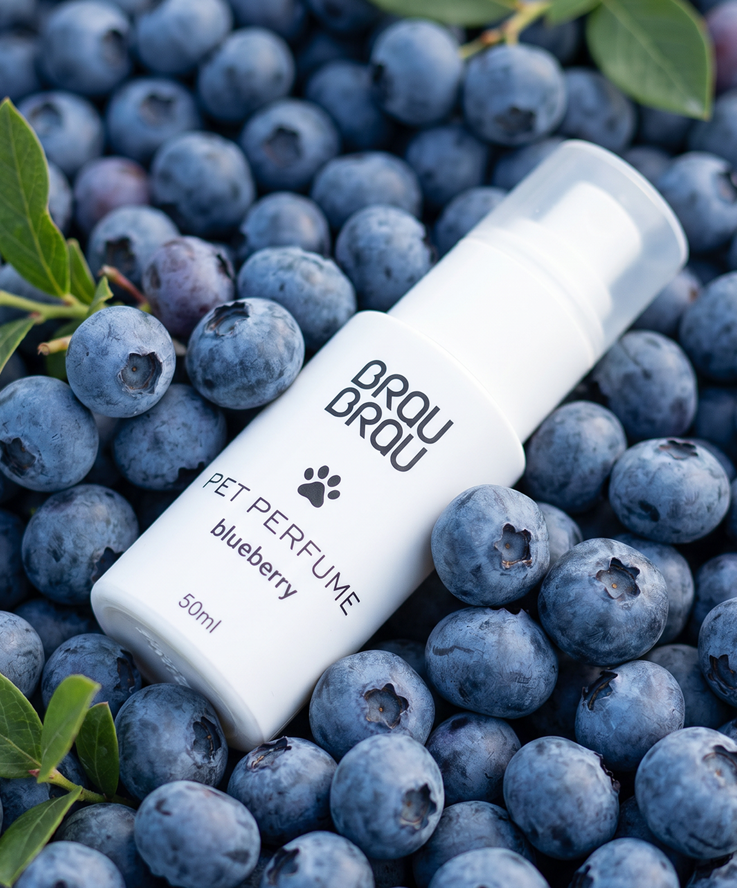 Parfum für Hunde & Katzen Blueberry - 50 ml