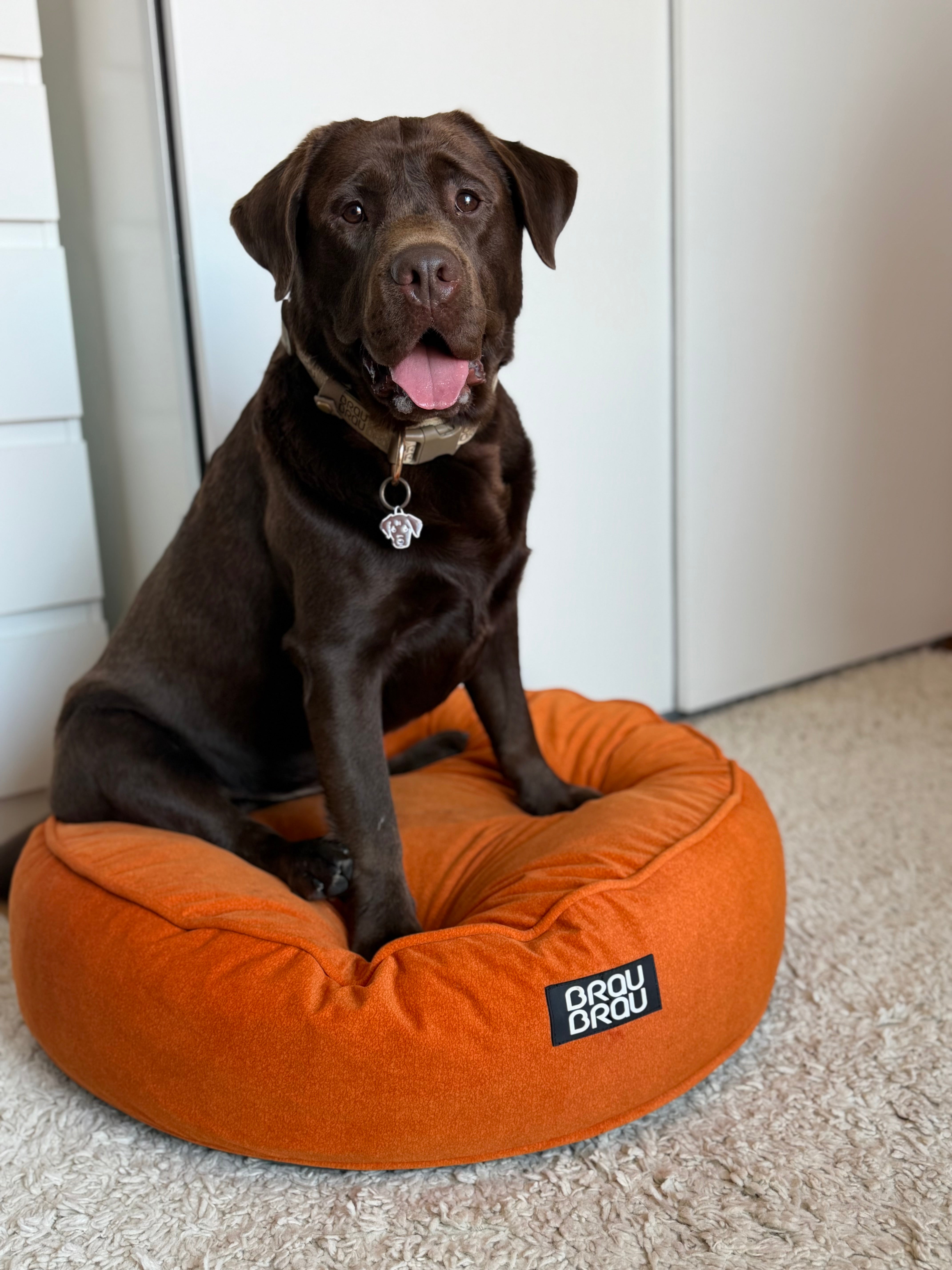 Orange/Grünes Kissen - Rotonda BRAUBRAU für Haustiere (Hunde und Katzen)
